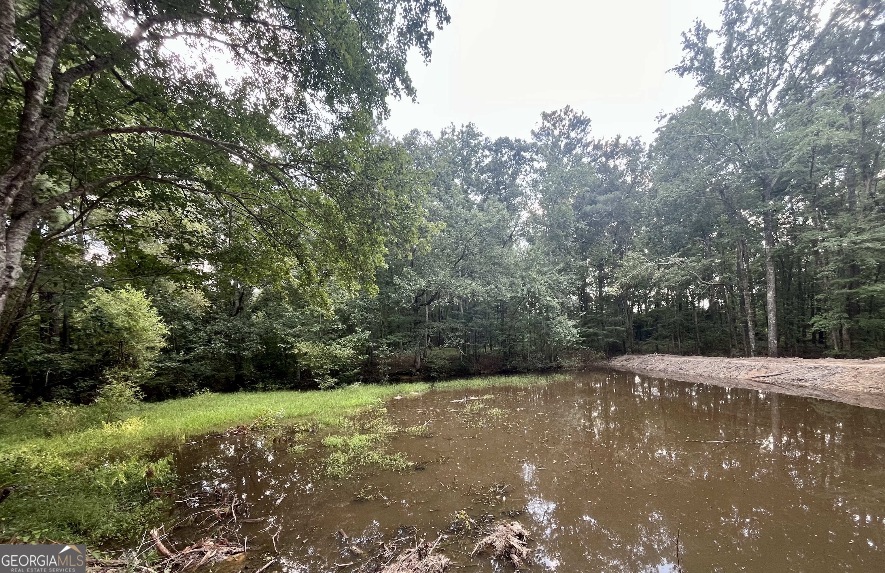 635 Jackson Lake Road Mansfield, GA 30055 - Photo 65 of 68 a view of a street view with large trees