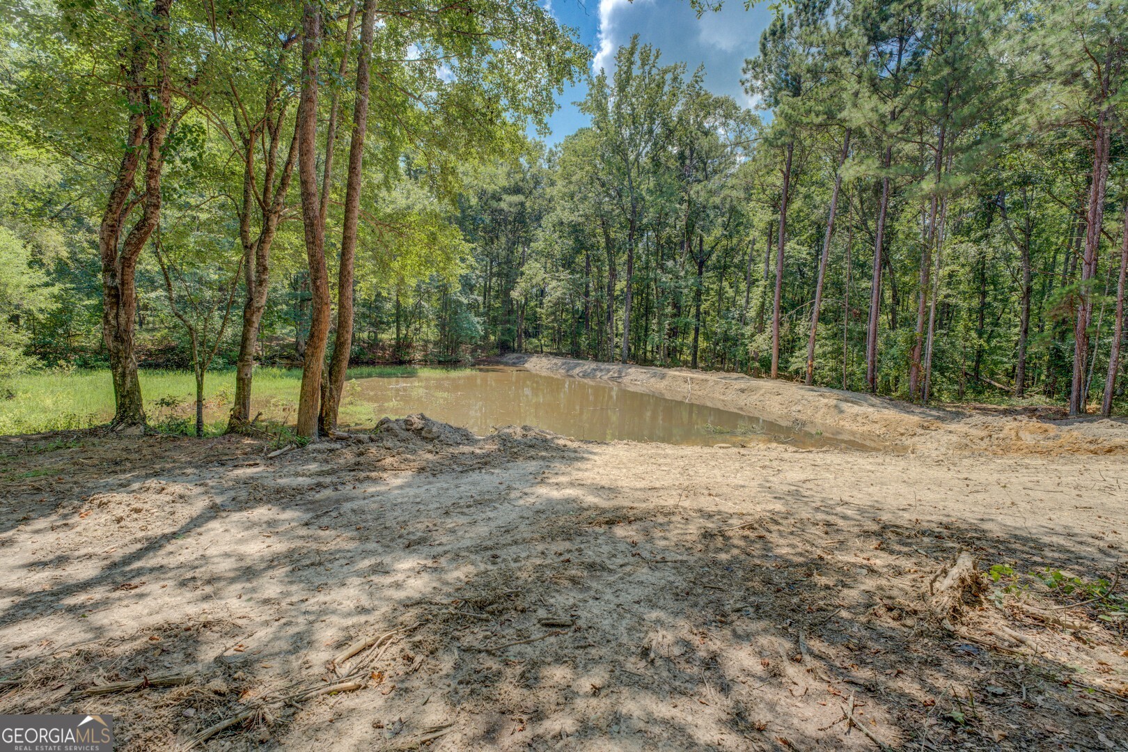 635 Jackson Lake Road Mansfield, GA 30055 - Photo 66 of 68