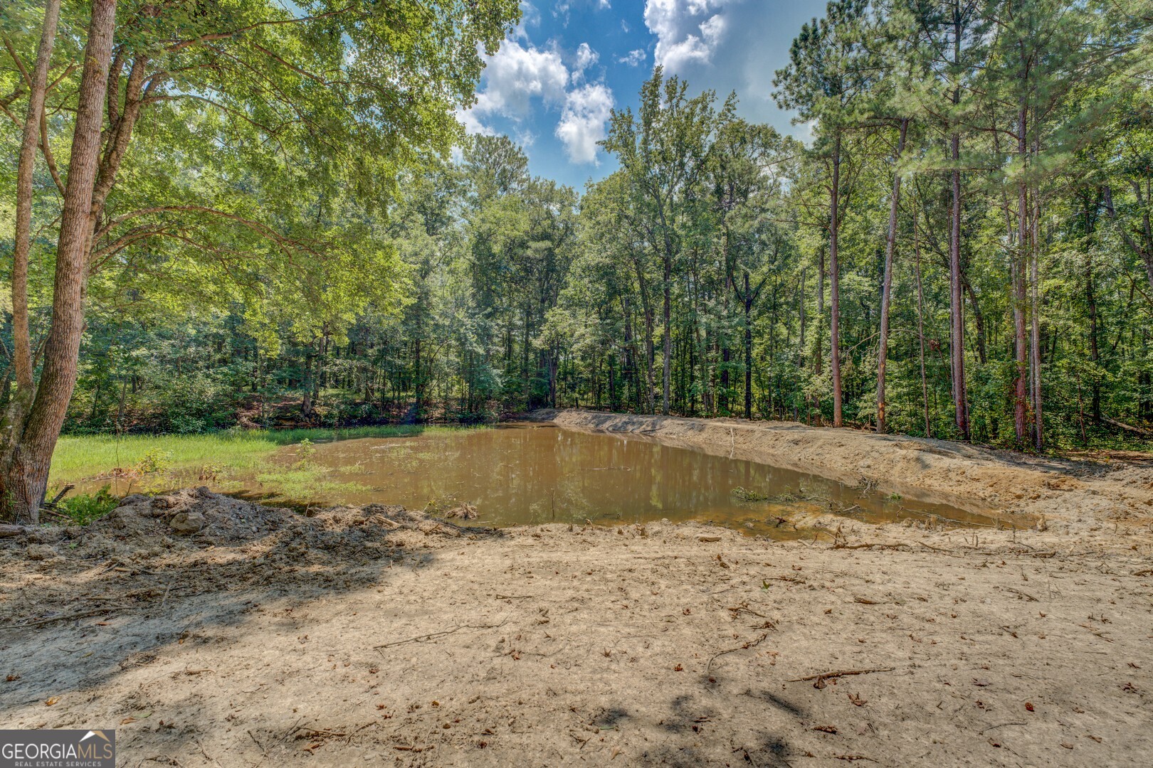 635 Jackson Lake Road Mansfield, GA 30055 - Photo 67 of 68
