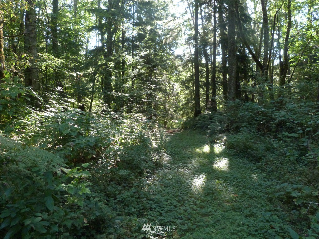 3208 Y Road Bellingham, WA 98226 - Photo 14 of 15 Gallery Image 14