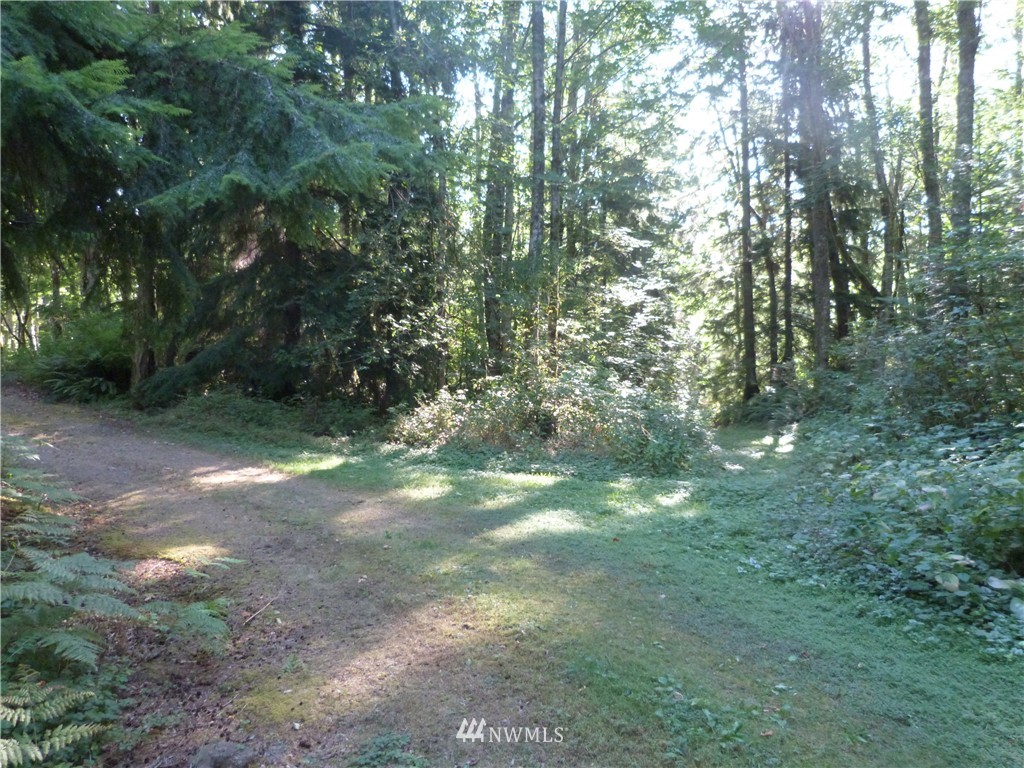 3208 Y Road Bellingham, WA 98226 - Photo 3 of 15 Gallery Image 3