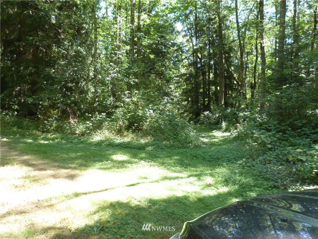 3208 Y Road Bellingham, WA 98226 - Photo 4 of 15 Gallery Image 4