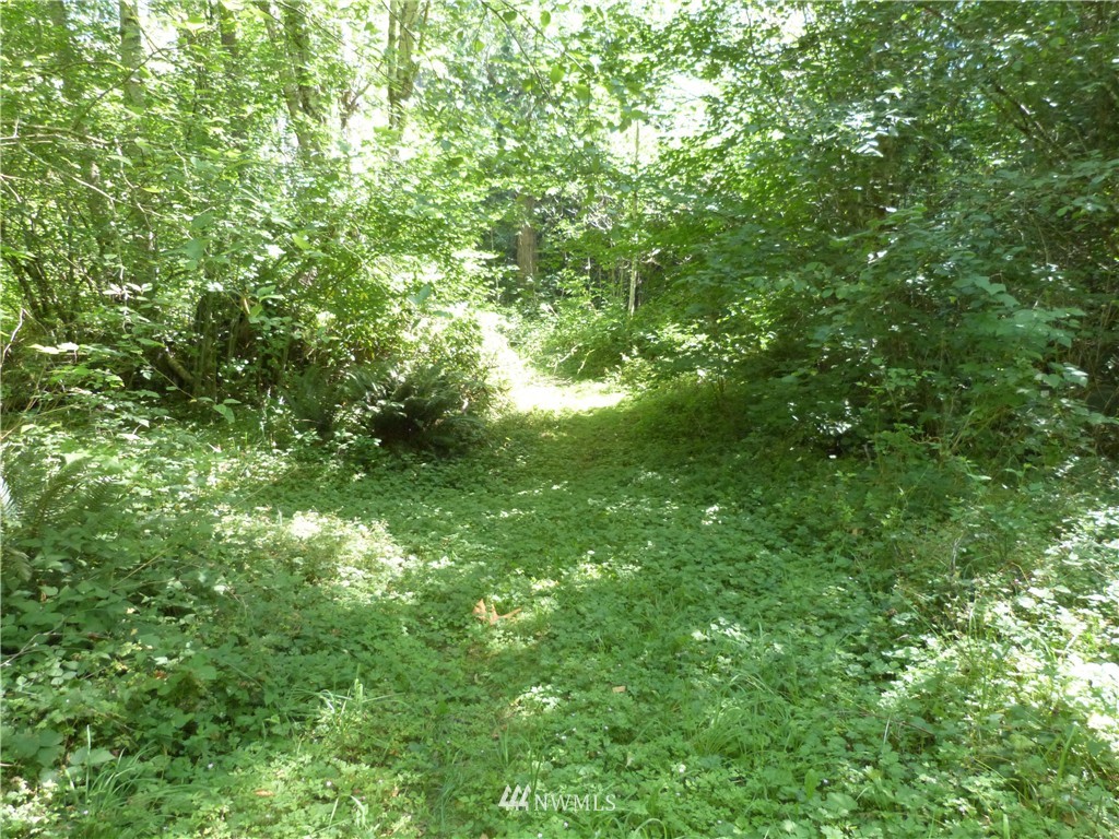 3208 Y Road Bellingham, WA 98226 - Photo 7 of 15 Gallery Image 7