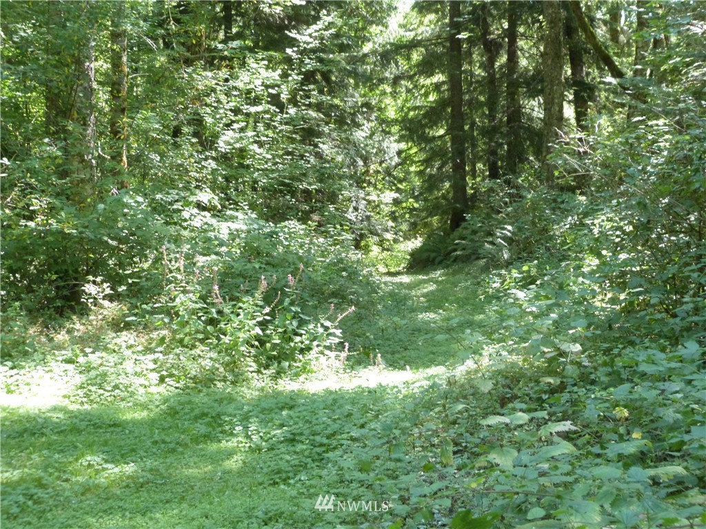 3208 Y Road Bellingham, WA 98226 - Photo 8 of 15 Gallery Image 8