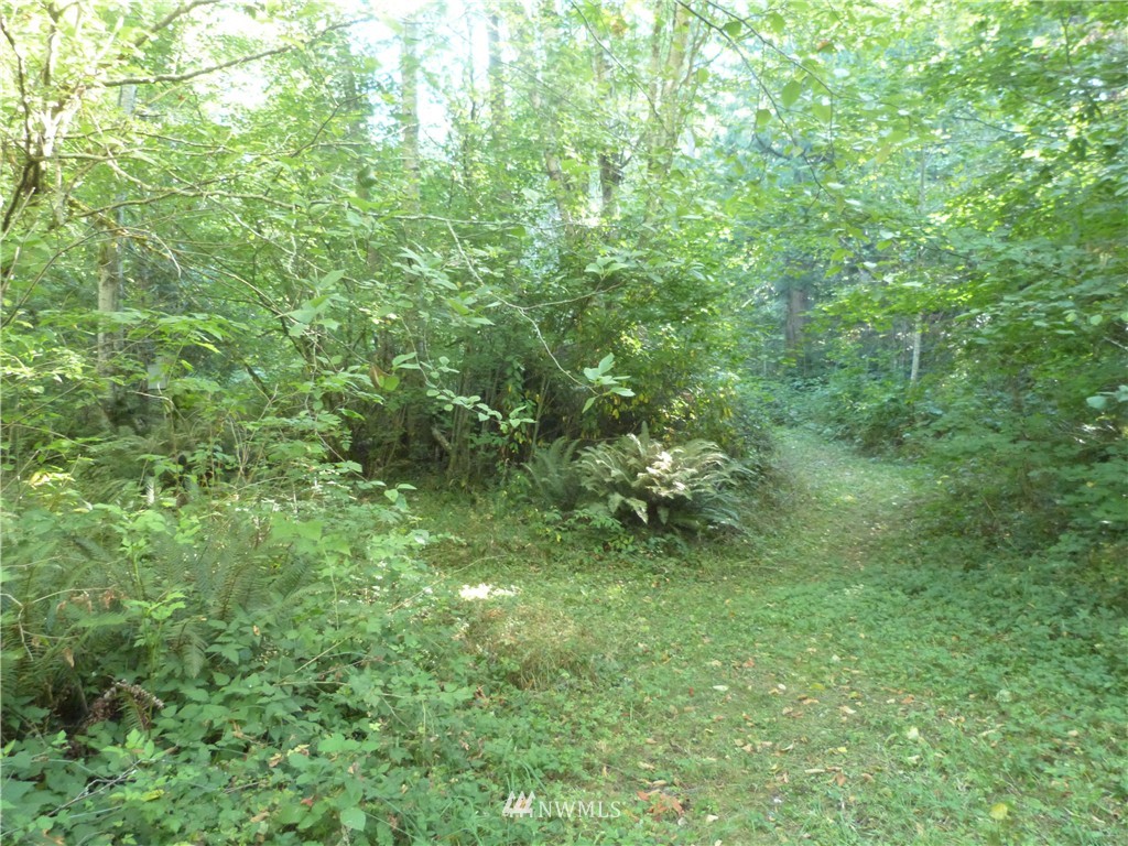 3208 Y Road Bellingham, WA 98226 - Photo 9 of 15 Gallery Image 9