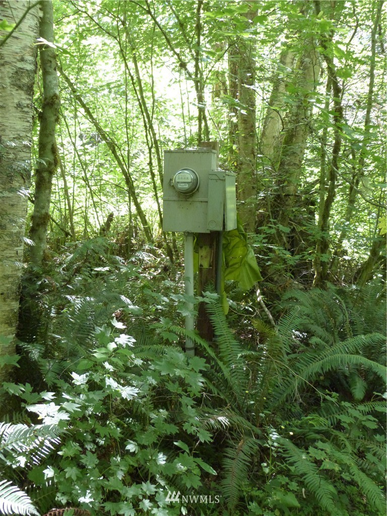 3208 Y Road Bellingham, WA 98226 - Photo 10 of 15 Gallery Image 10