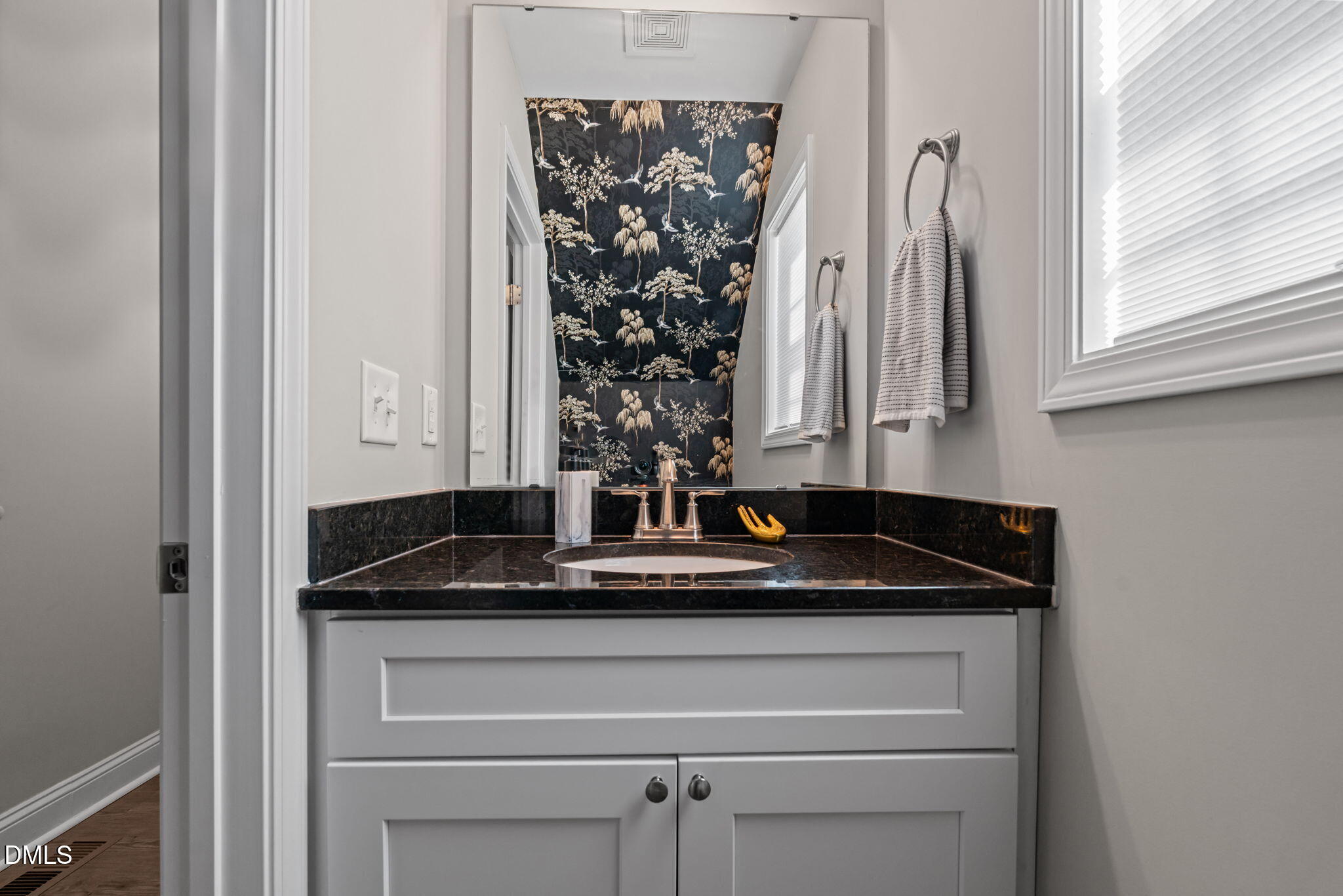 904 Allstar Avenue Cameron, NC 28326 - Photo 6 of 34 a close view of sink and mirror