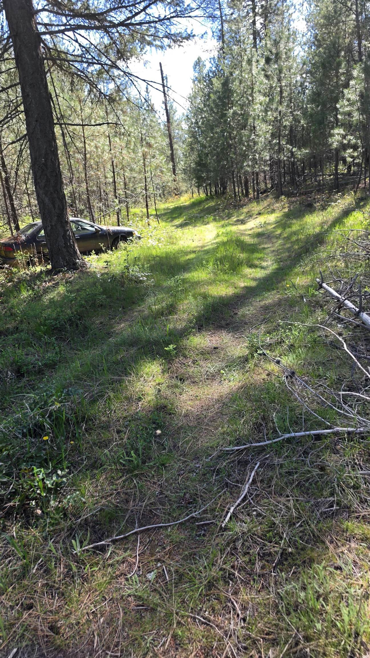 230-xx North Crescent Road Colbert, WA 99005 - Photo 22 of 24