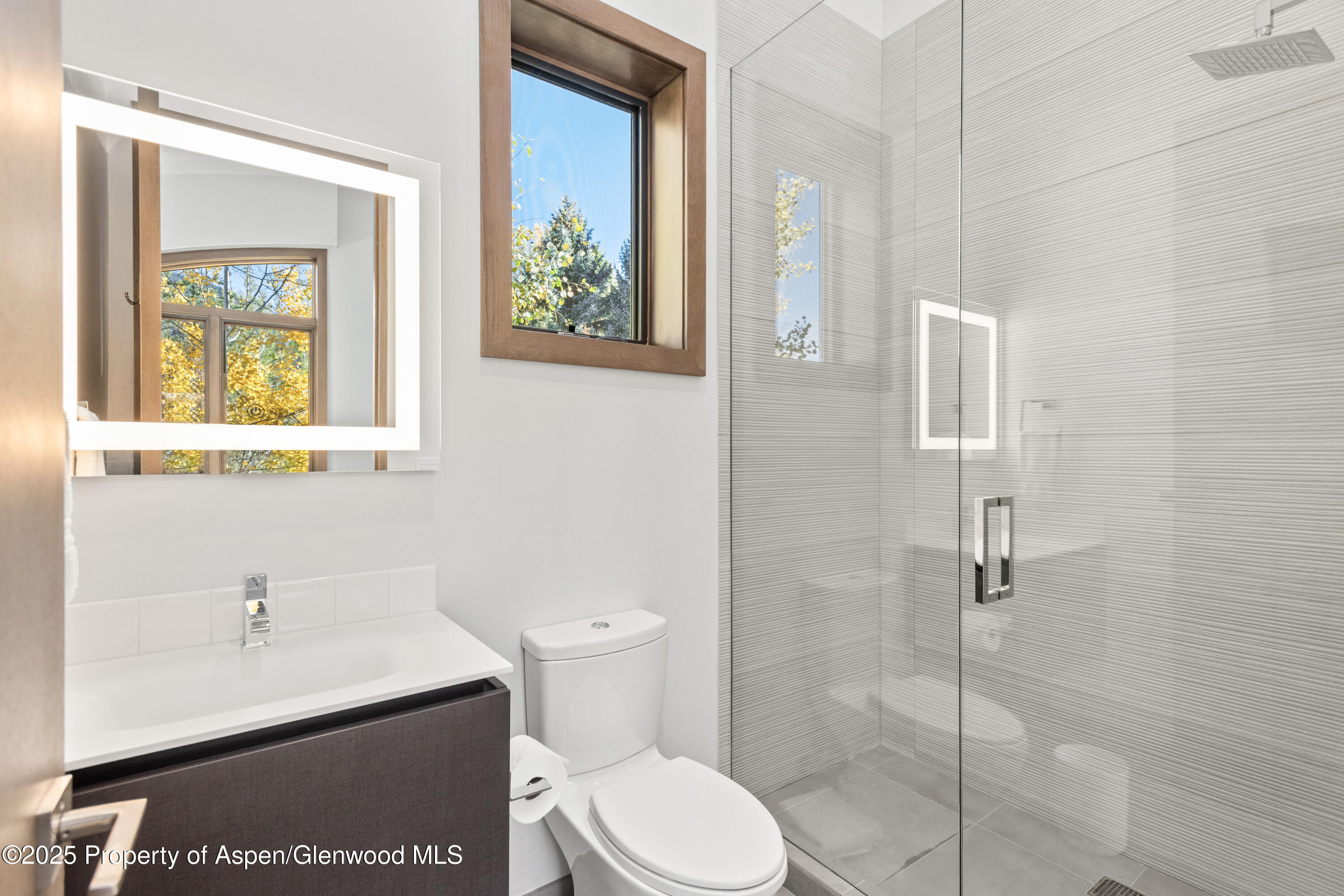 522 Spruce Street Aspen, CO 81611 - Photo 16 of 26 Guest Bathroom I