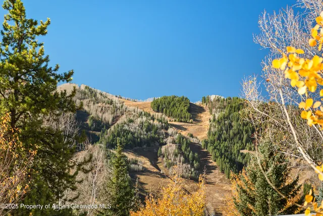 $45,000 | 522 Spruce Street, Aspen, CO 81611