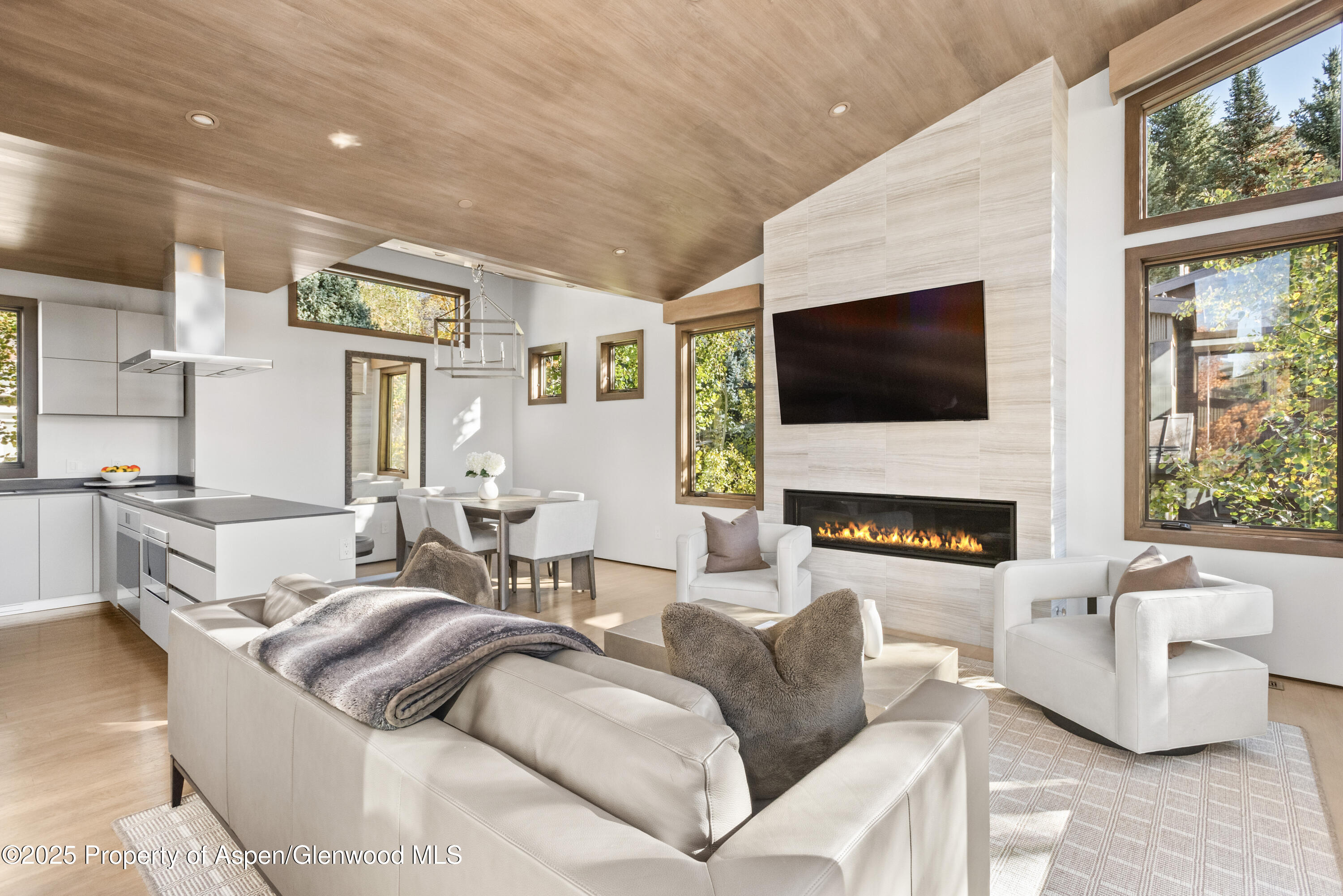 522 Spruce Street Aspen, CO 81611 - Photo 4 of 26 Living Room