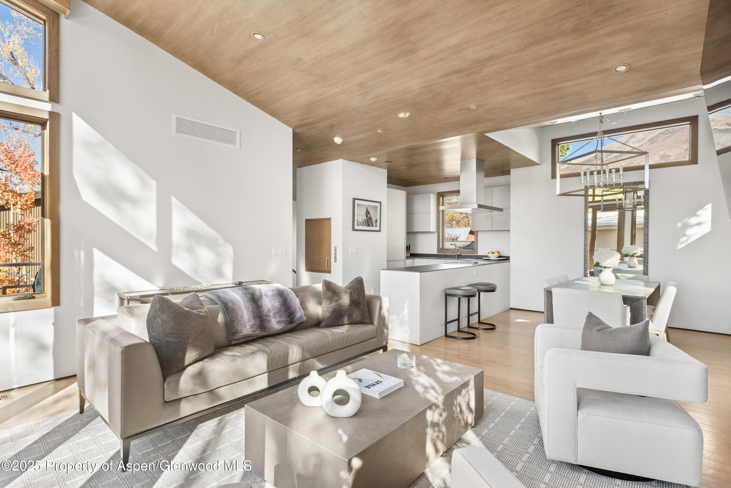 522 Spruce Street Aspen, CO 81611 - Photo 5 of 26 Open Concept