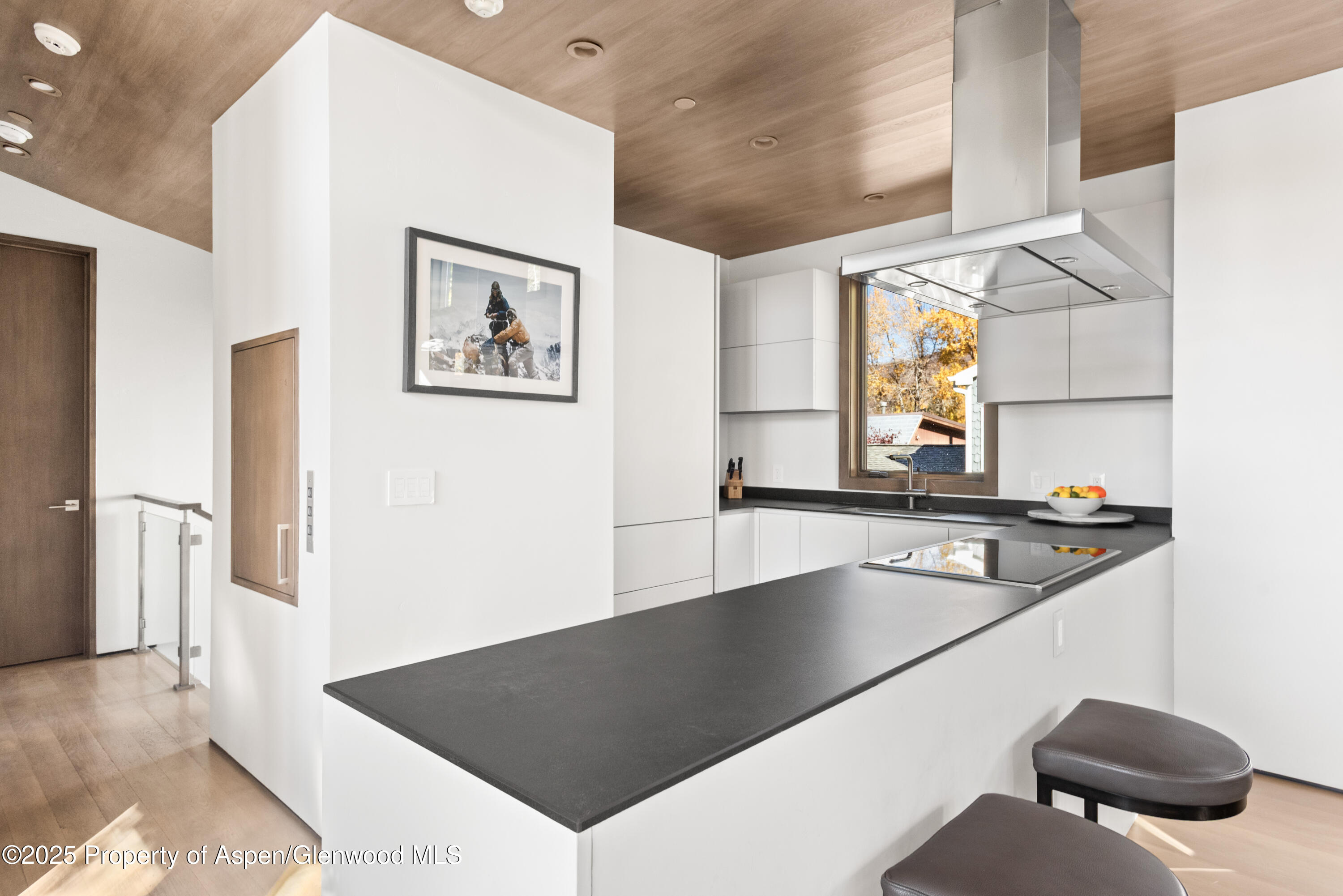 522 Spruce Street Aspen, CO 81611 - Photo 6 of 26 Kitchen