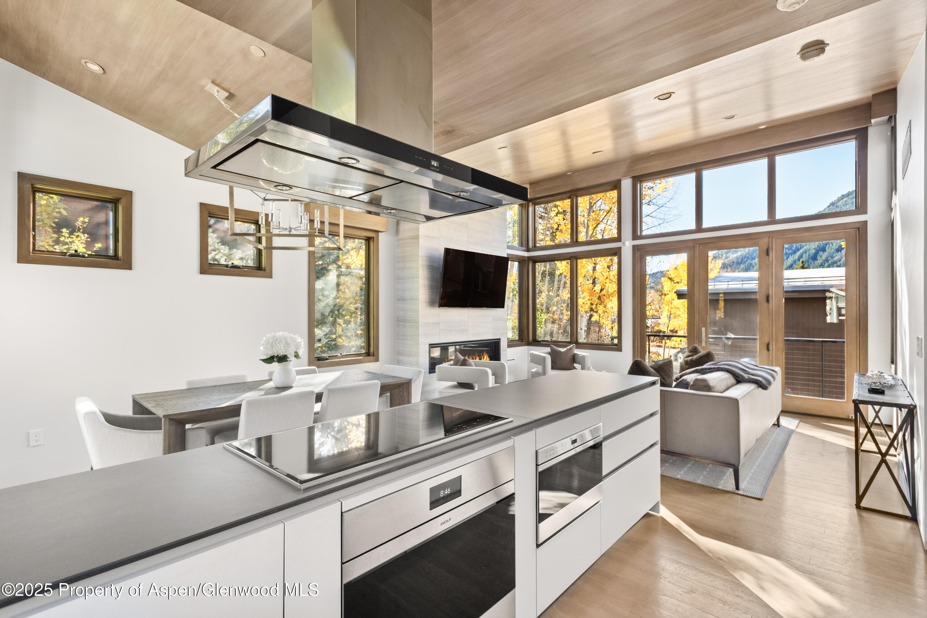 522 Spruce Street Aspen, CO 81611 - Photo 7 of 26 Kitchen
