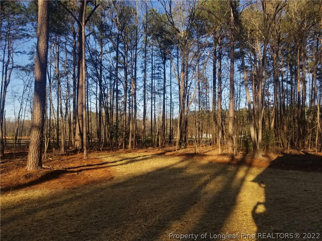 5090 J T Matthews Road Godwin, NC 28344 - Photo 6 of 7 a view of outdoor space with deck