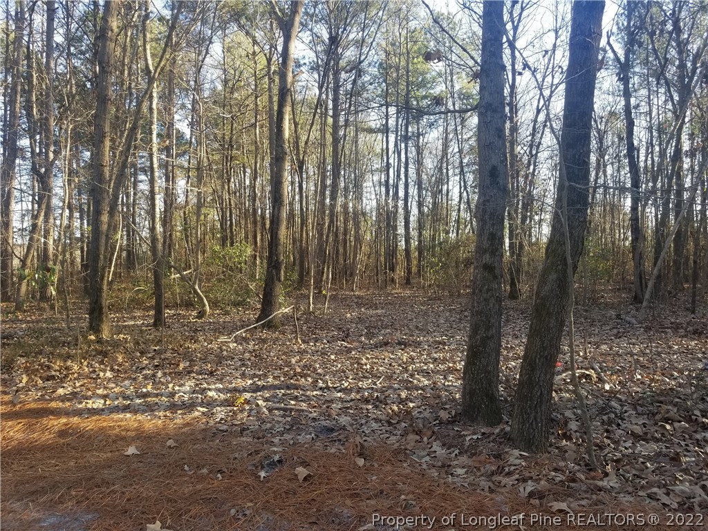 5090 J T Matthews Road Godwin, NC 28344 - Photo 7 of 7 a view of outdoor space with lots of trees