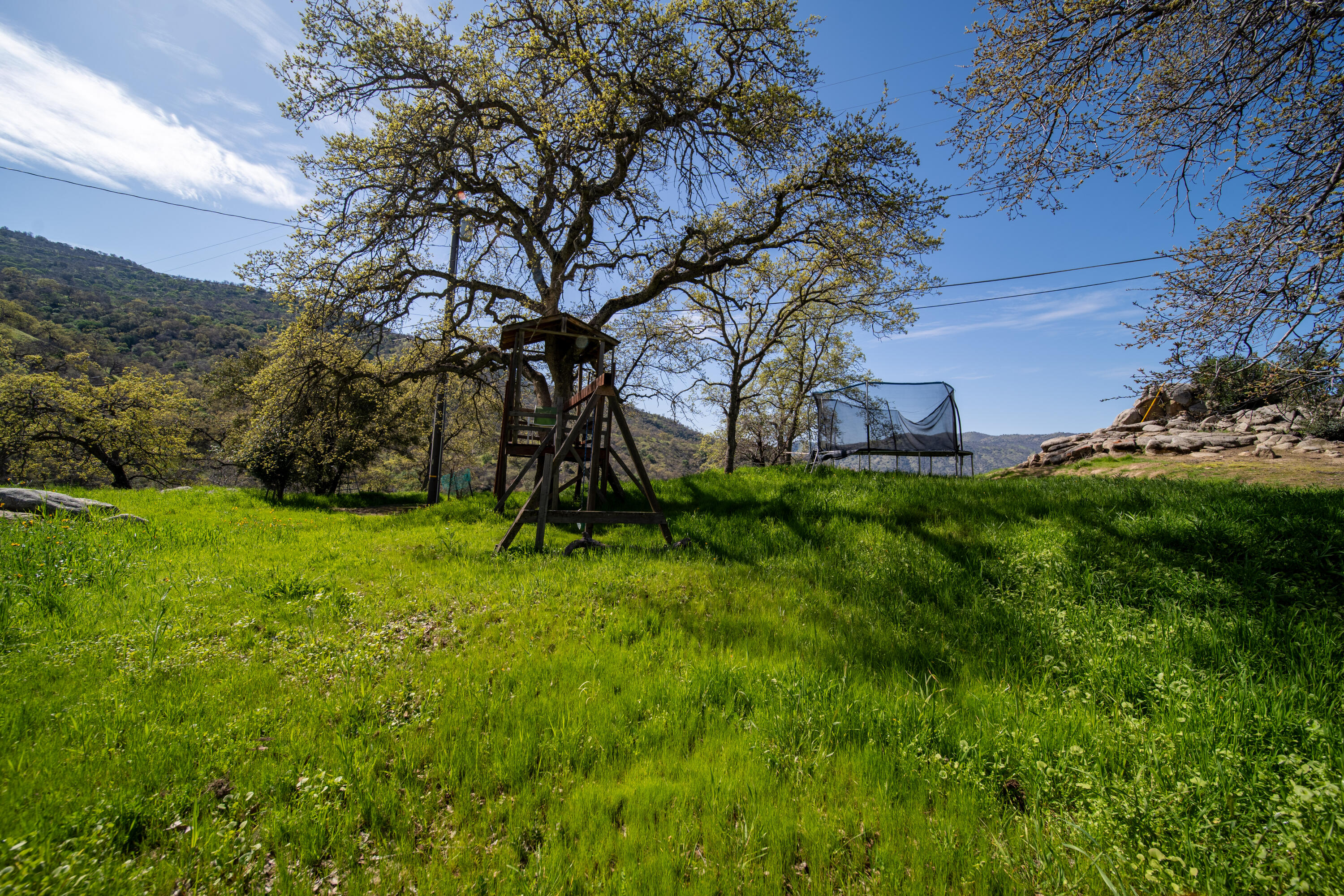 44040 Skyline Drive Three Rivers, CA 93271 - Photo 40 of 40 a backyard of a house with lots of green space