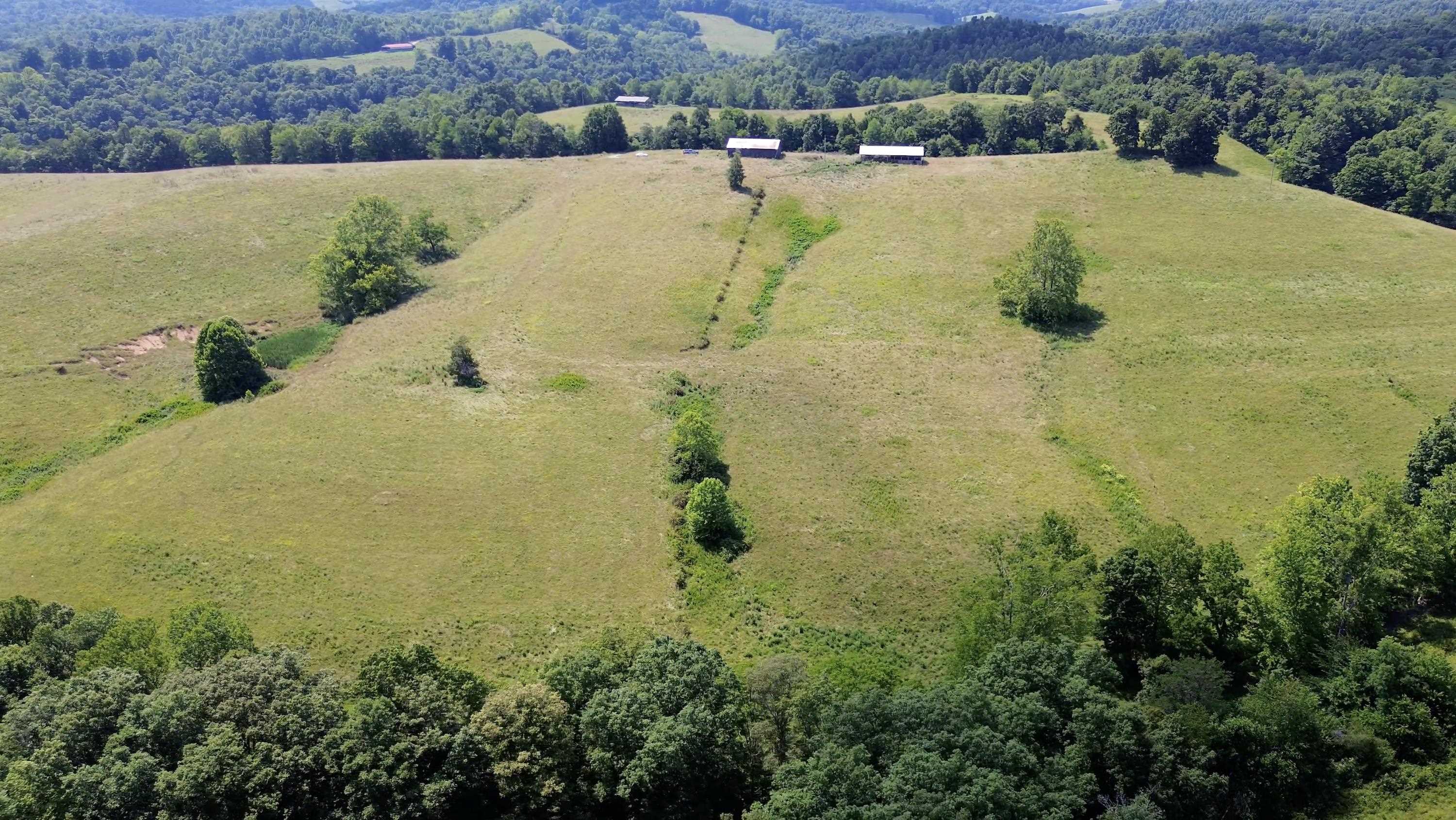 0 J Cox Road Olive Hill, KY 41164 - Photo 12 of 17