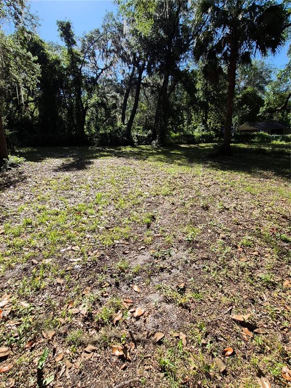 16615 Island Road Citra, FL 32113 - Photo 3 of 10