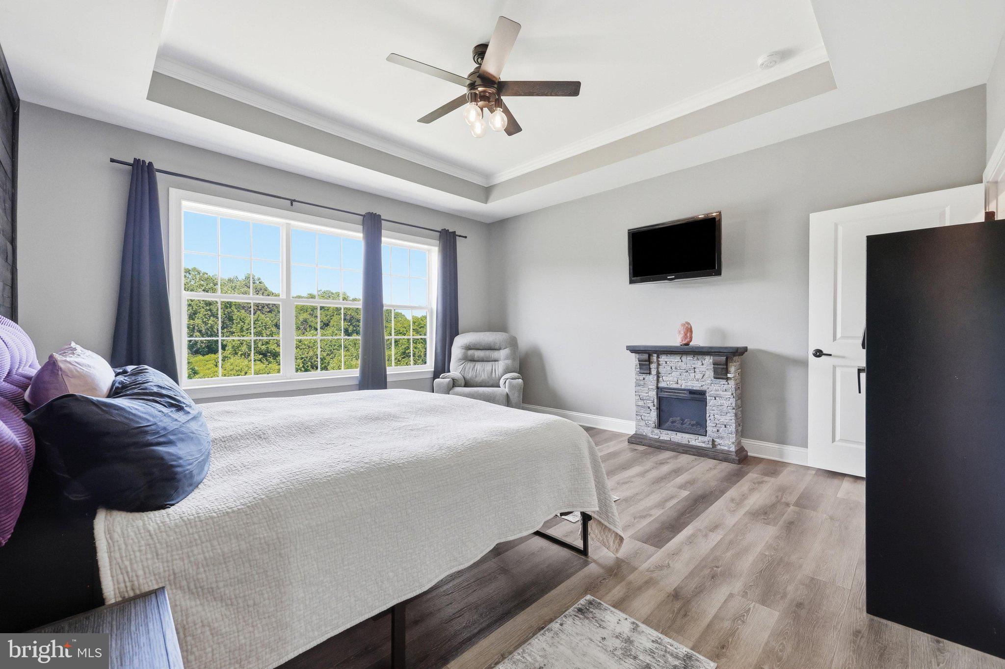 8225 Ball Road Frederick, MD 21704 - Photo 30 of 51 Primary Bedroom with Tray ceiling & great views