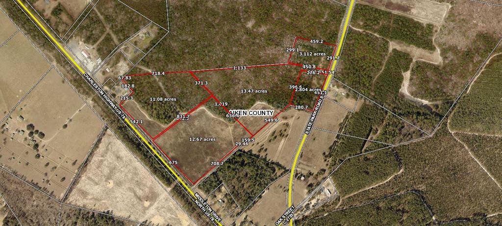 13.962-acr State Park Road Windsor, SC 29856 - Photo 8 of 9