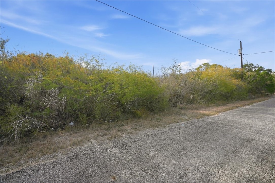 0 Huajilla Bend Road Sandia, TX 78383 - Photo 3 of 11 a view of a field