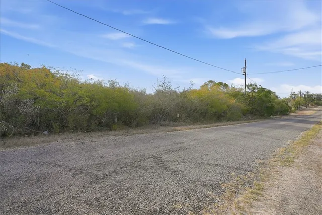 a view of a dry yard with trees