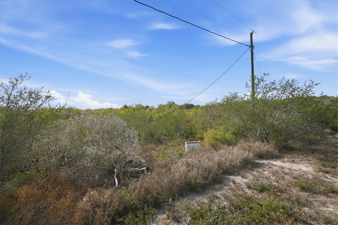 0 Huajilla Bend Road Sandia, TX 78383 - Photo 8 of 11 a view of a city with lush green forest