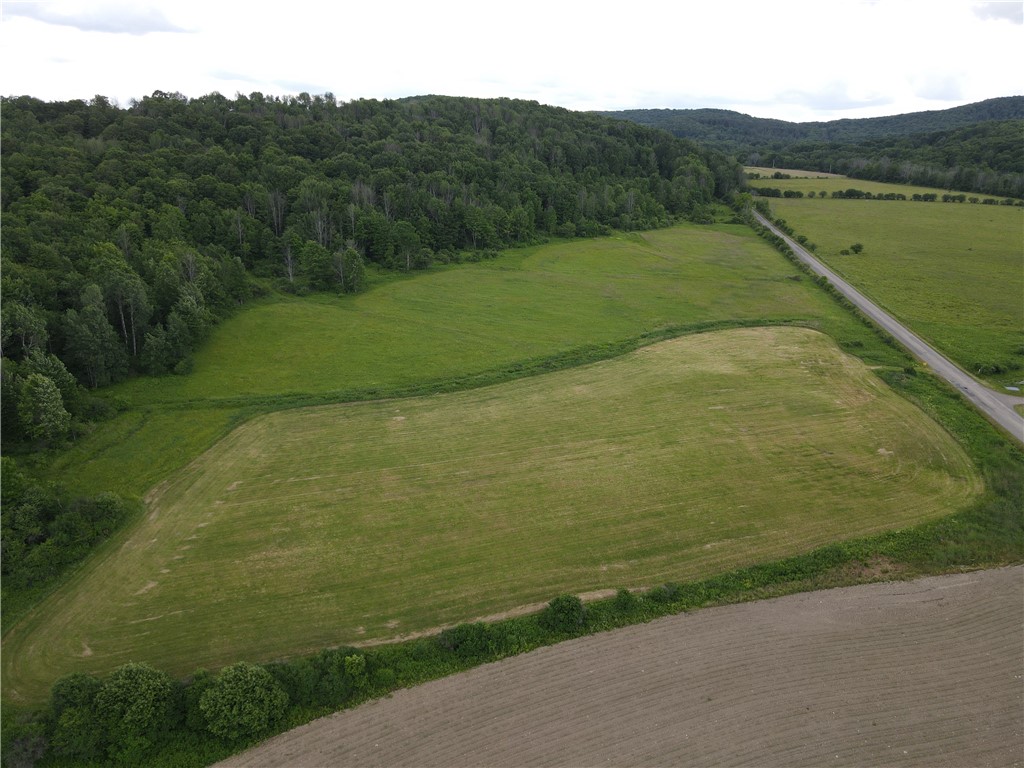 Lot 9 Summit Road Cuba, NY 14727 - Photo 2 of 22