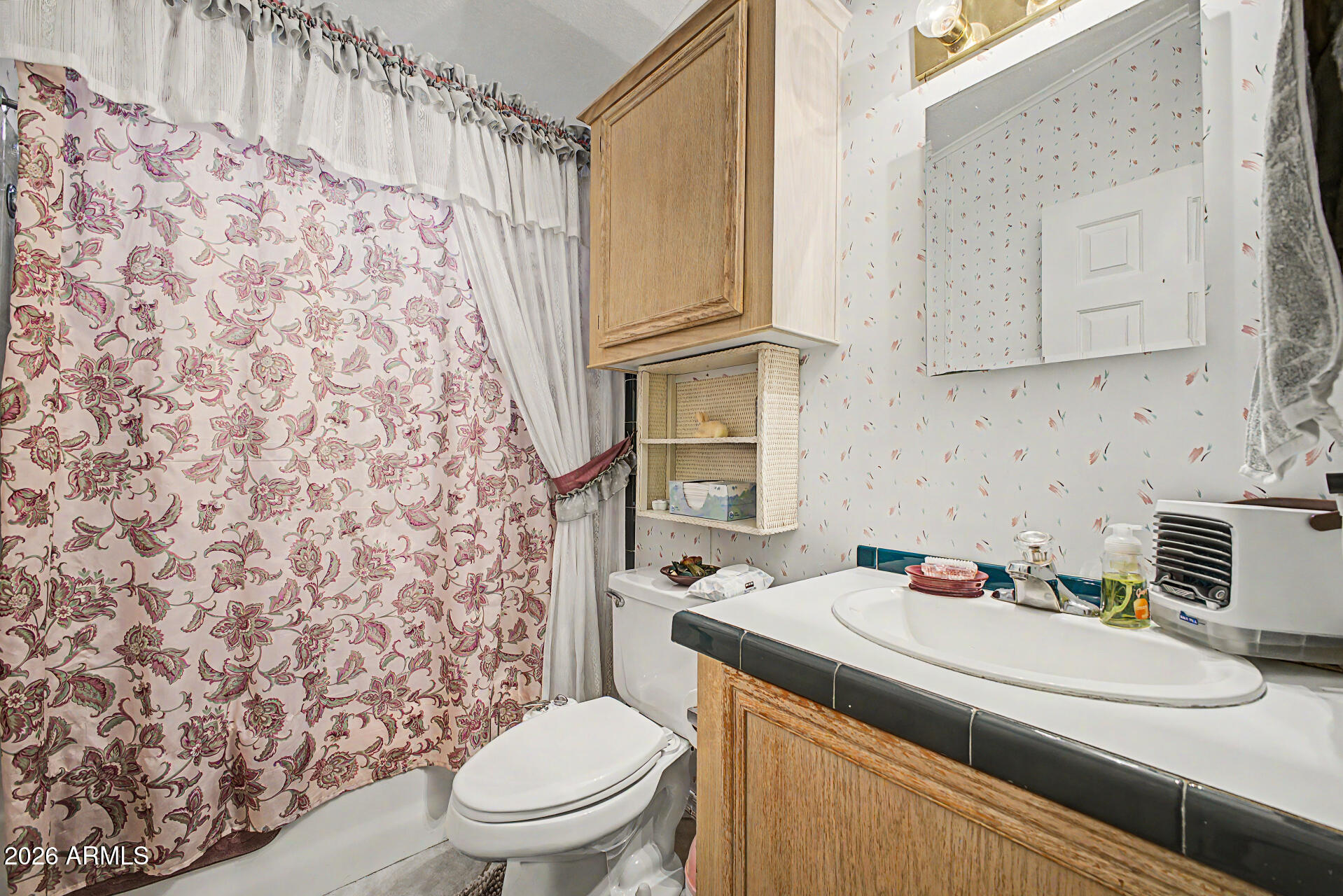 2548 South Val Vista Road Apache Junction, AZ 85119 - Photo 28 of 29 a bathroom with a sink toilet and shower