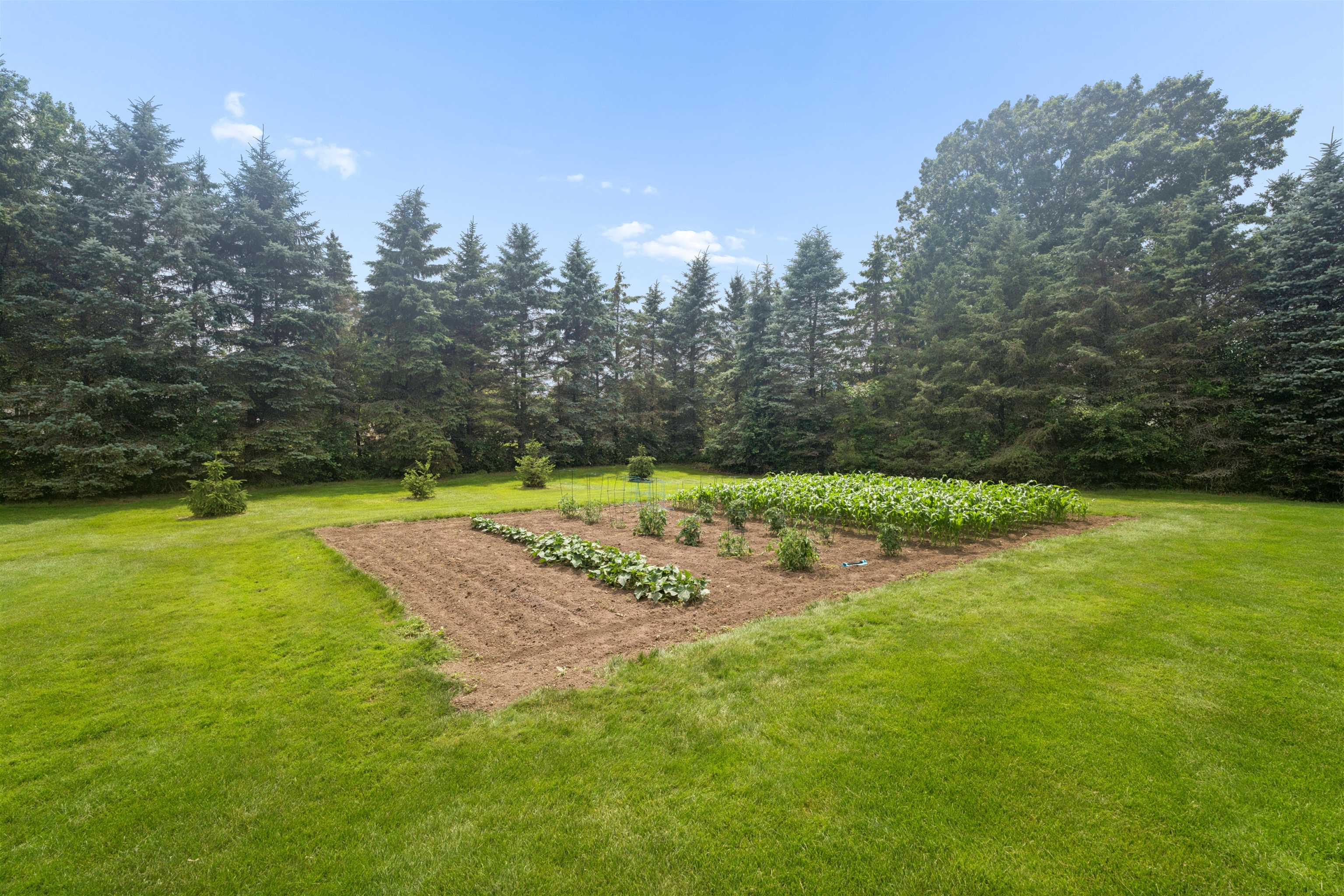 1 West Cedar Street Hilbert, WI 54129 - Photo 49 of 58