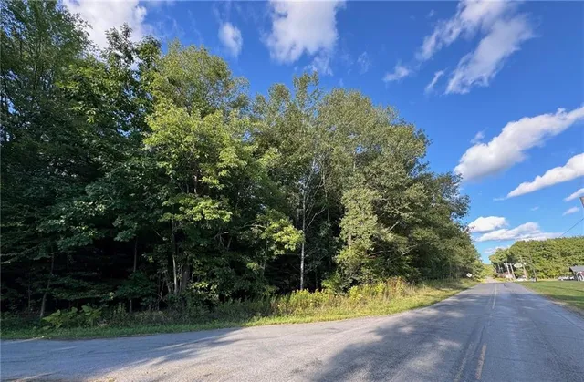 a view of a yard with plants and trees