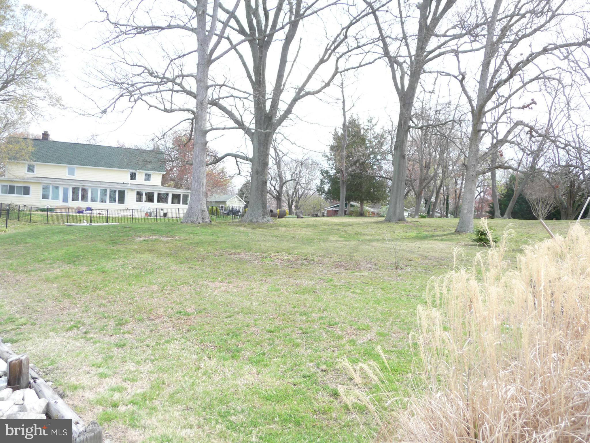 1201 Daves Road Edgewater, MD 21037 - Photo 9 of 30 a big yard with lots of green space and trees