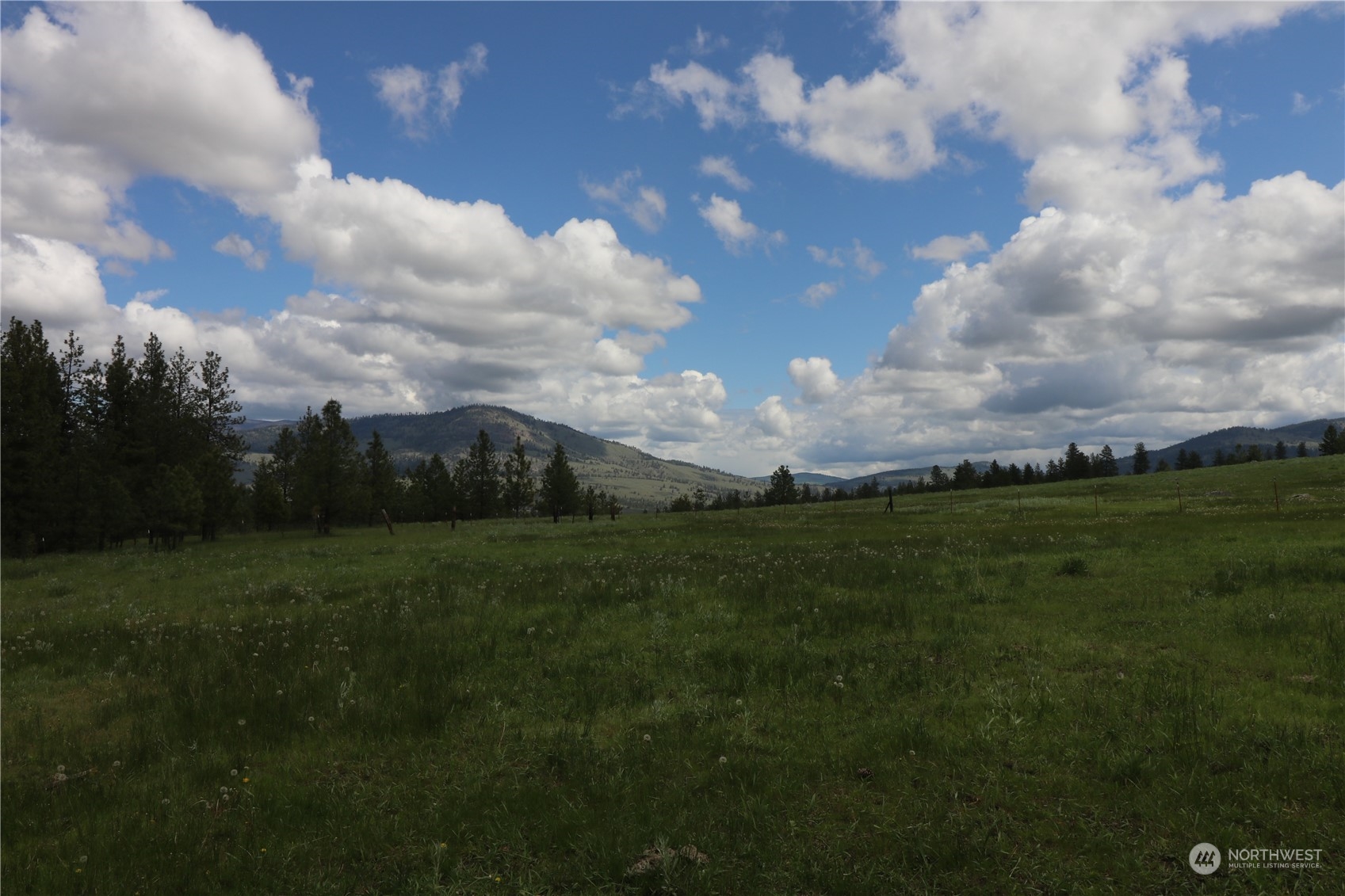217 Patterson Creek Road Tonasket, WA 98855 - Photo 11 of 25 Gallery Image 11