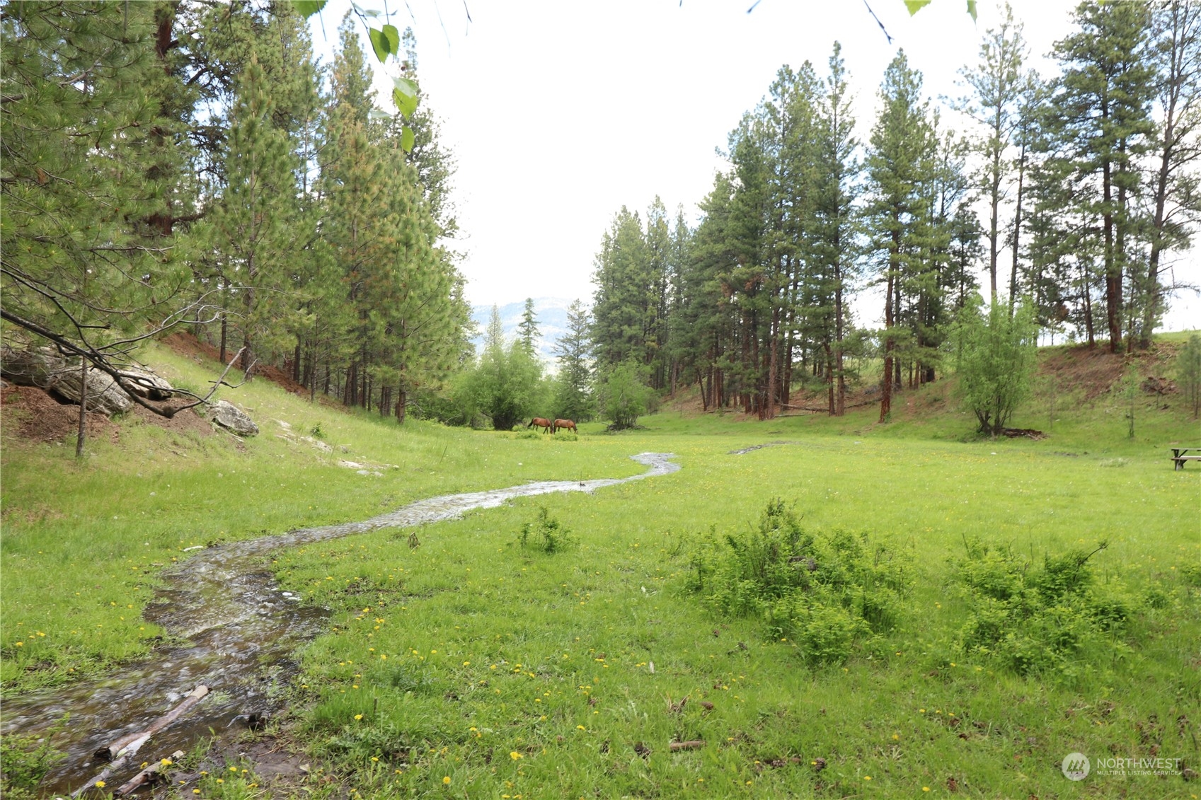 217 Patterson Creek Road Tonasket, WA 98855 - Photo 8 of 25 Gallery Image 8