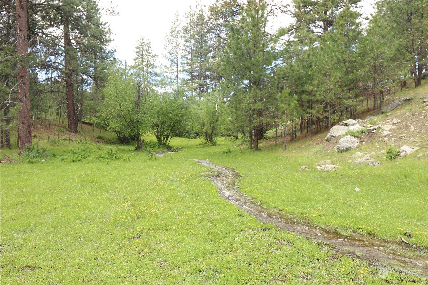 217 Patterson Creek Road Tonasket, WA 98855 - Photo 9 of 25 Gallery Image 9