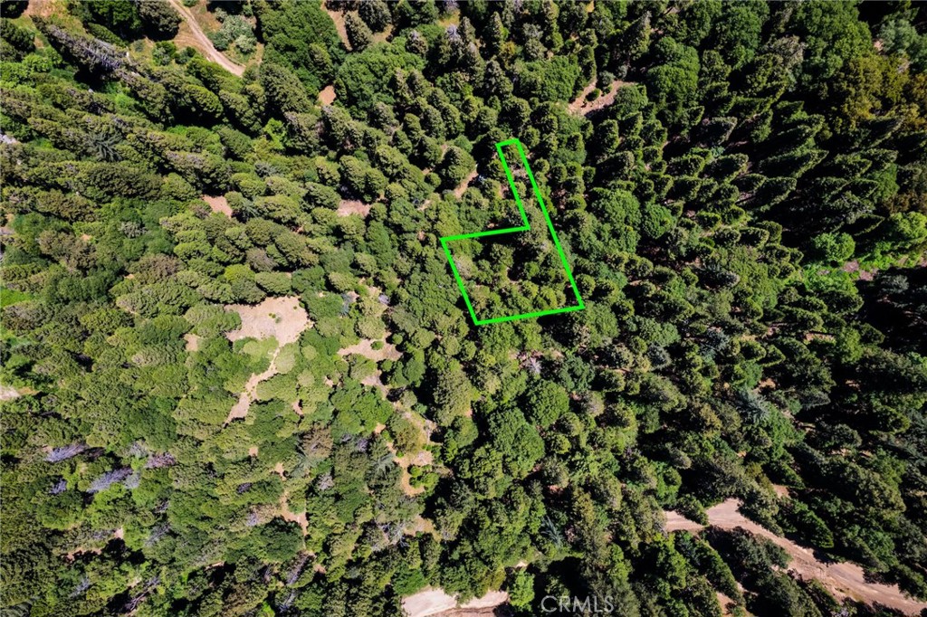 0 Mojave Road Cedarpines Park, CA 92322 - Photo 39 of 41