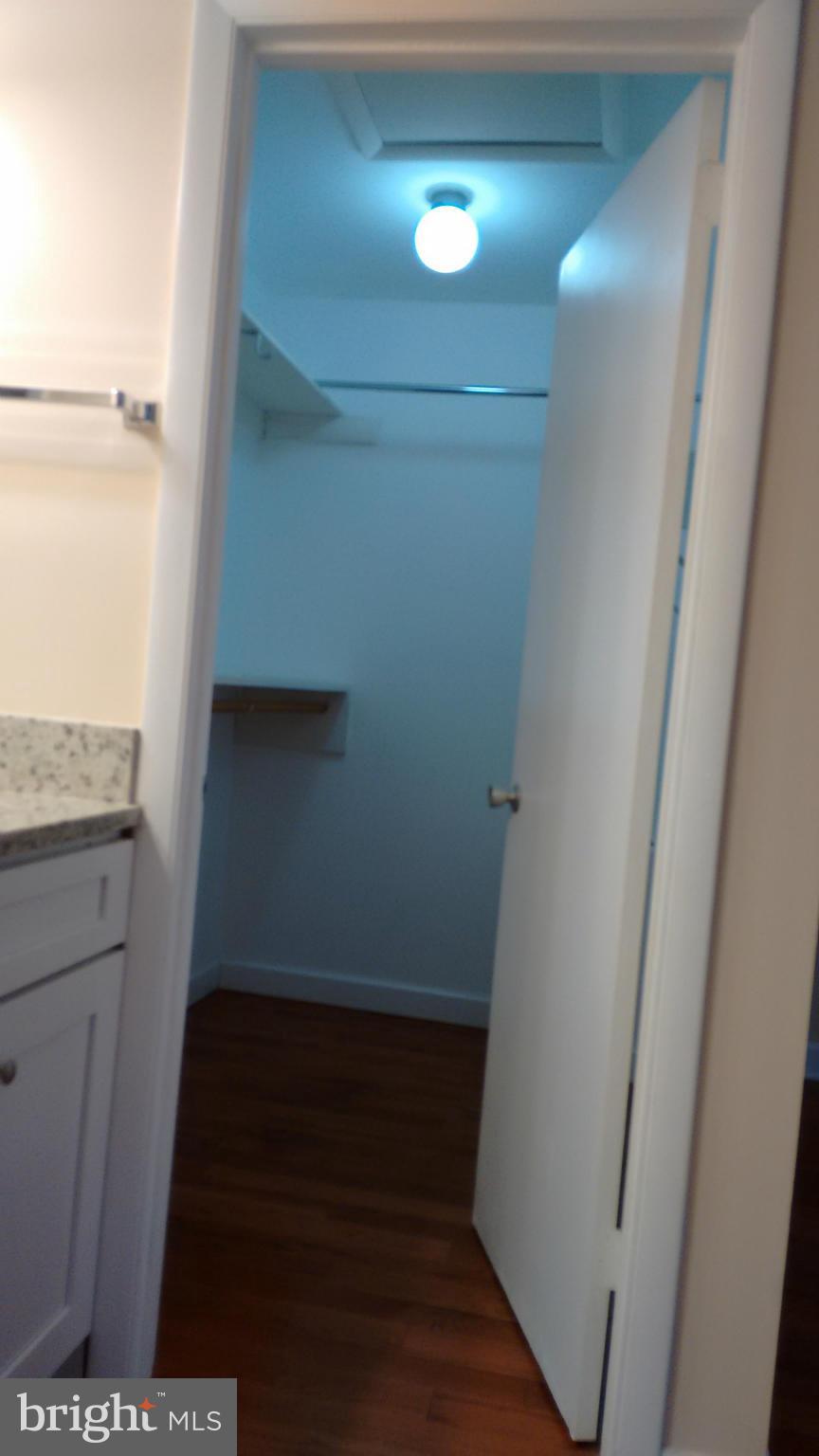 11655 Newbridge Court Reston, VA 20191 - Photo 28 of 30 a view of walk in closet