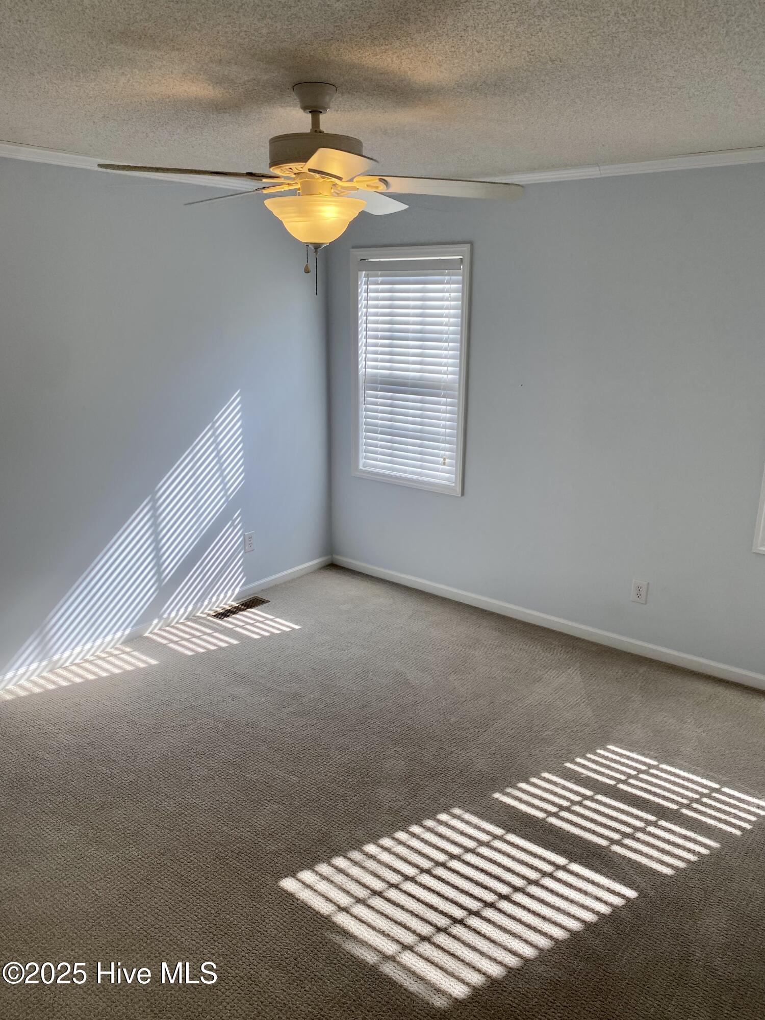 930 Spring Forest Road, Unit G5 Greenville, NC 27834 - Photo 10 of 15 IMG_8608