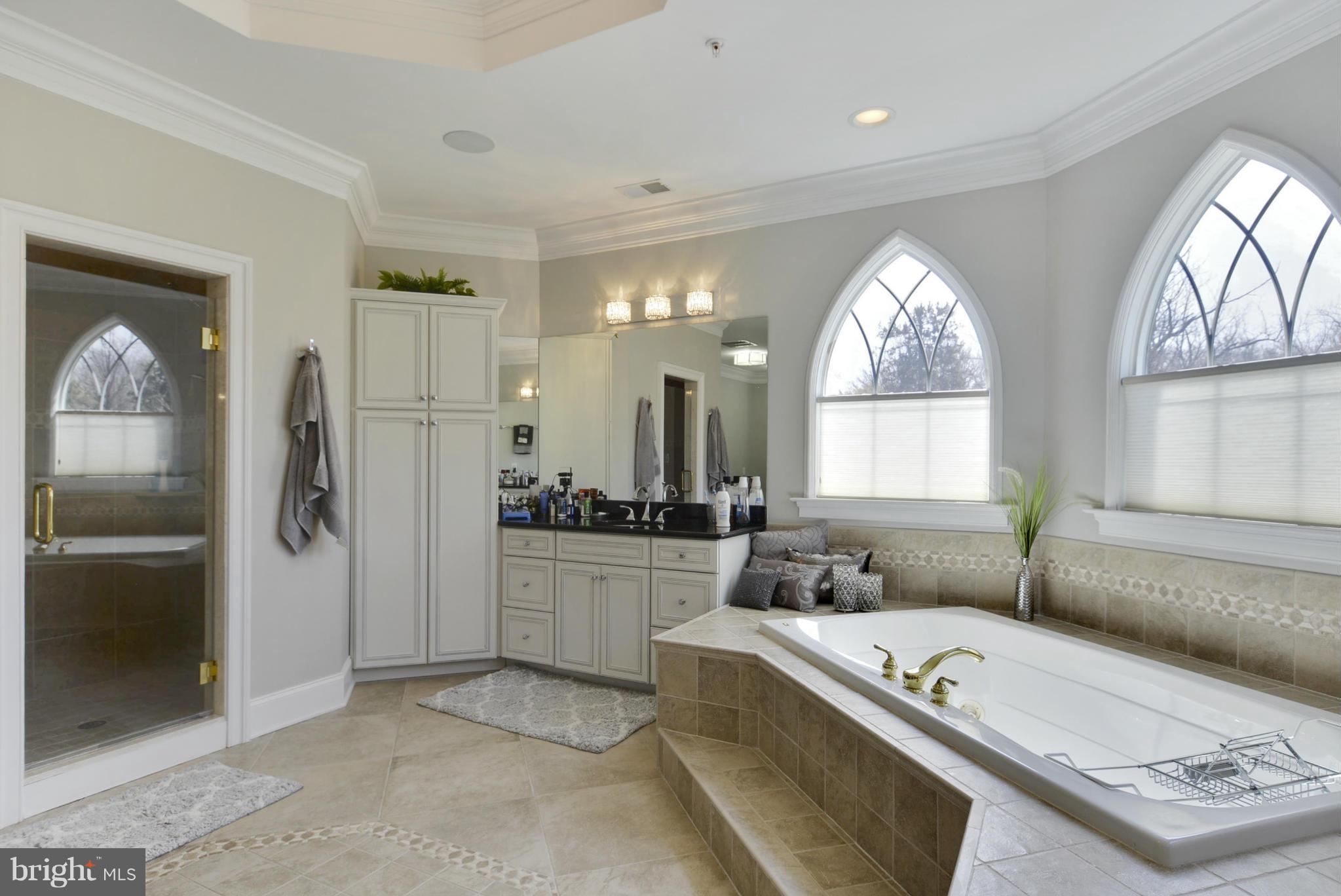 17218 Dr Bird Road Silver Spring, MD 20906 - Photo 20 of 30 Bath (Master)