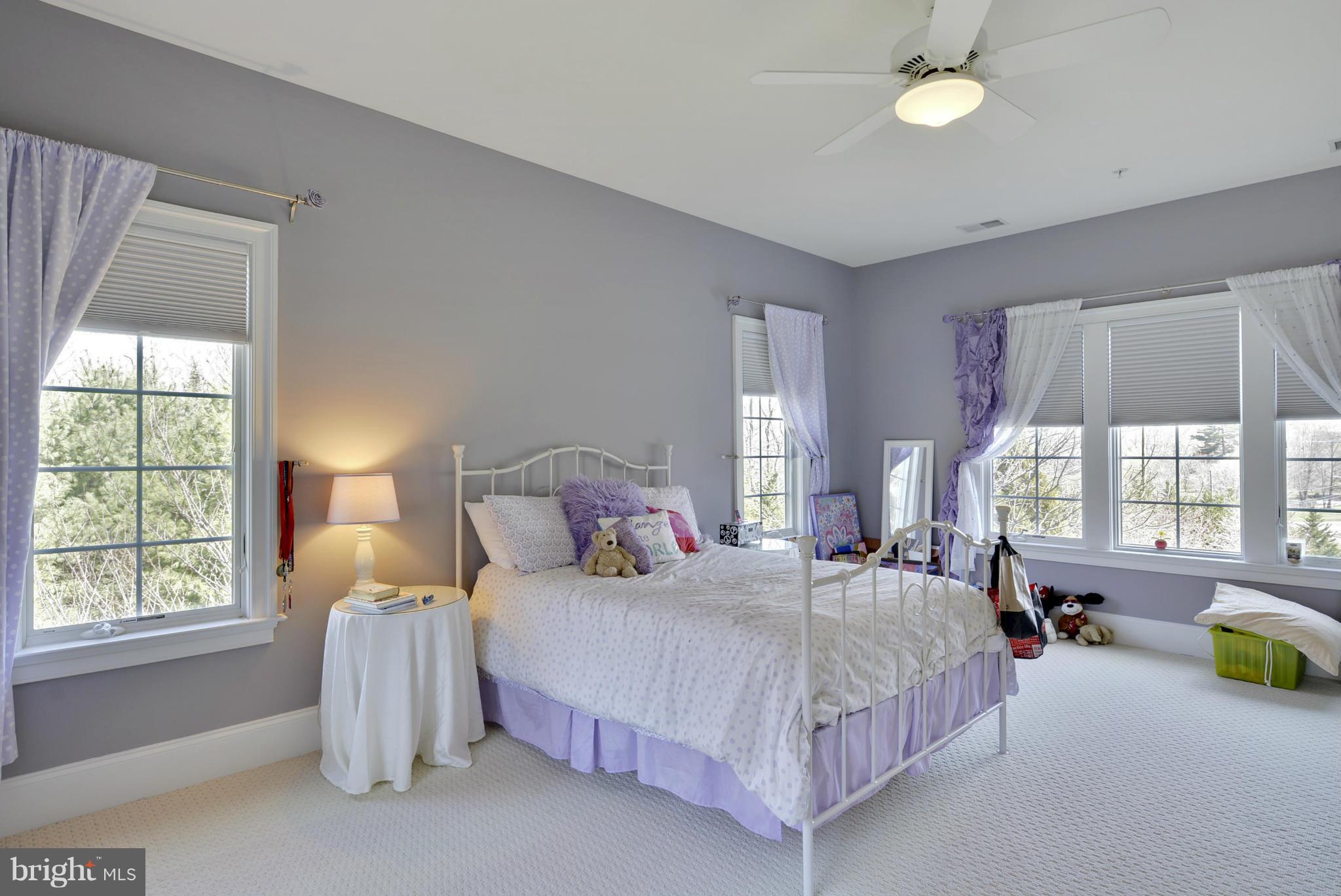 17218 Dr Bird Road Silver Spring, MD 20906 - Photo 24 of 30 Bedroom