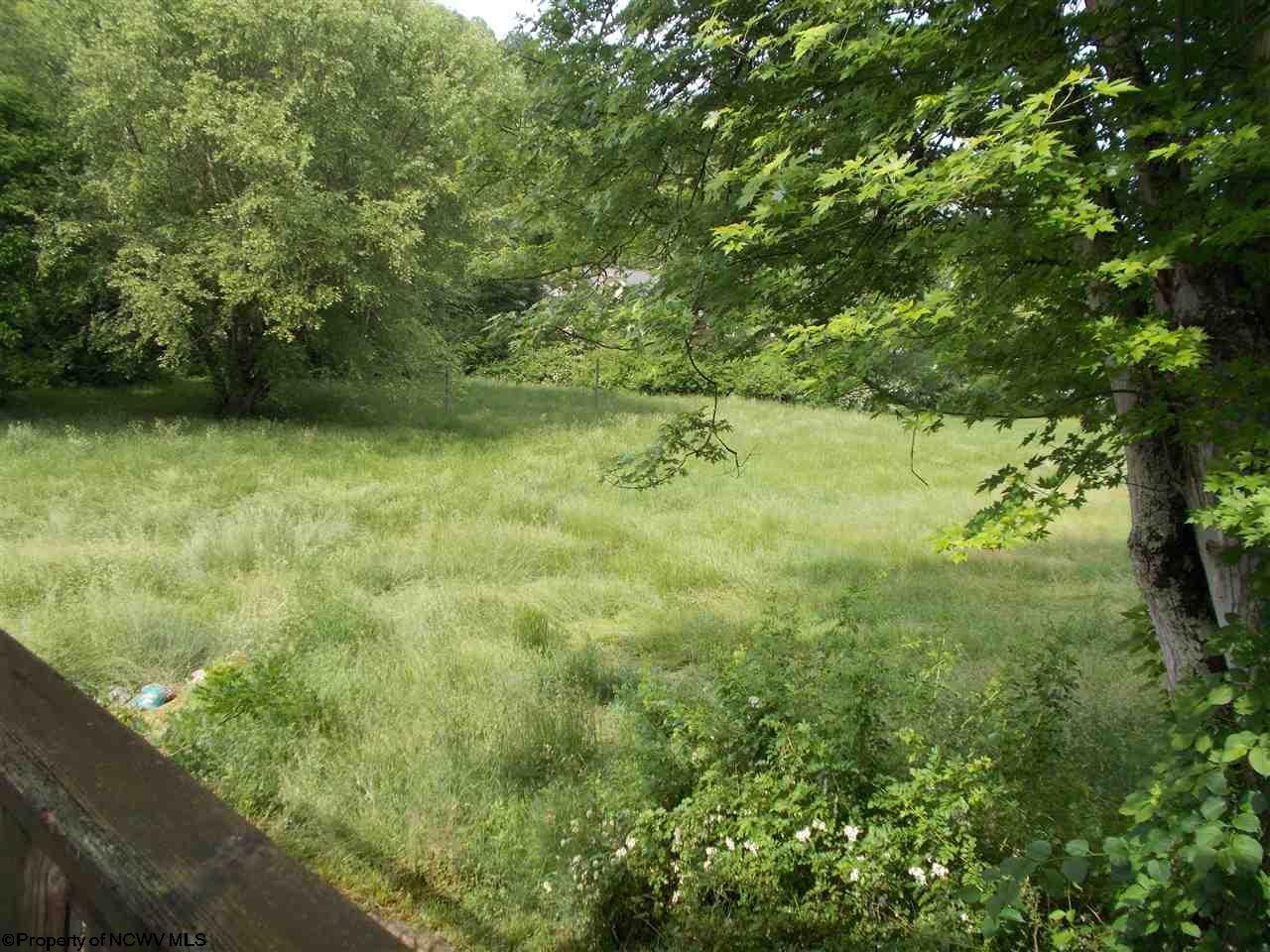 366 Falls Run Road Mount Clare, WV 26408 - Photo 16 of 18 Gallery Image 16
