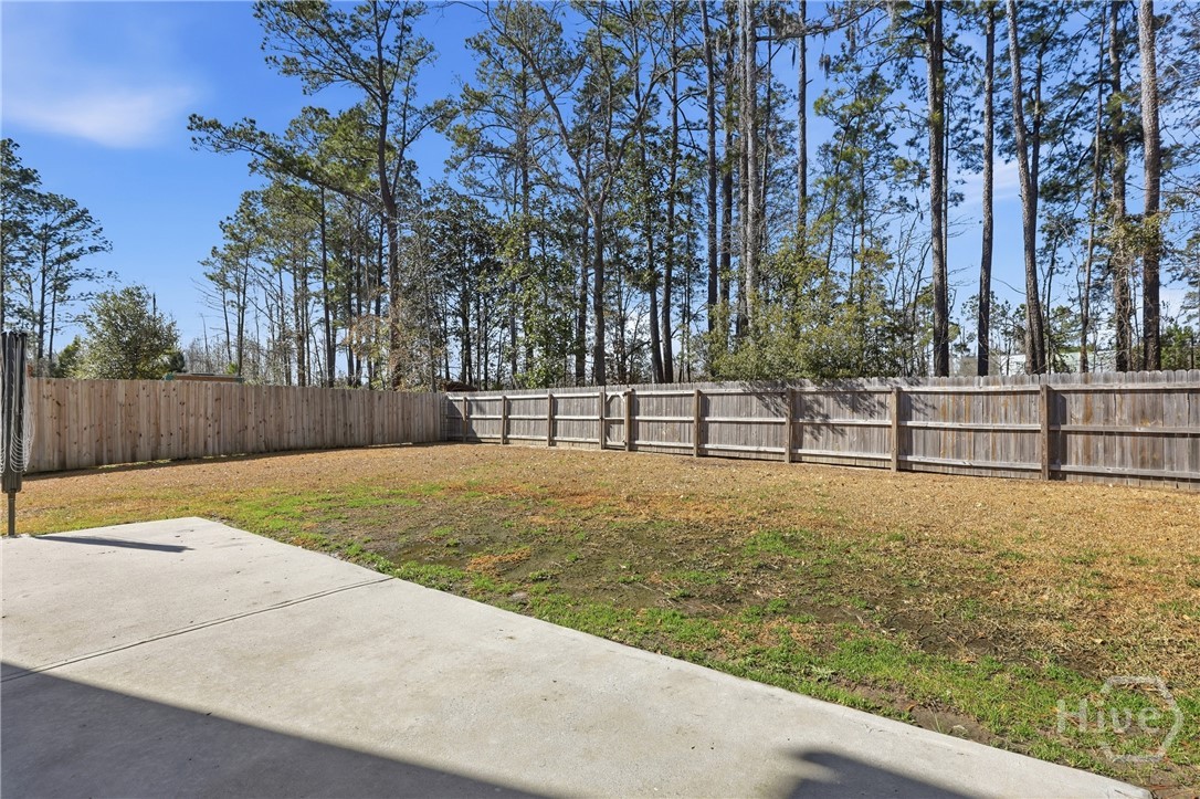 206 Tanzania Trail Pooler, GA 31322 - Photo 34 of 53