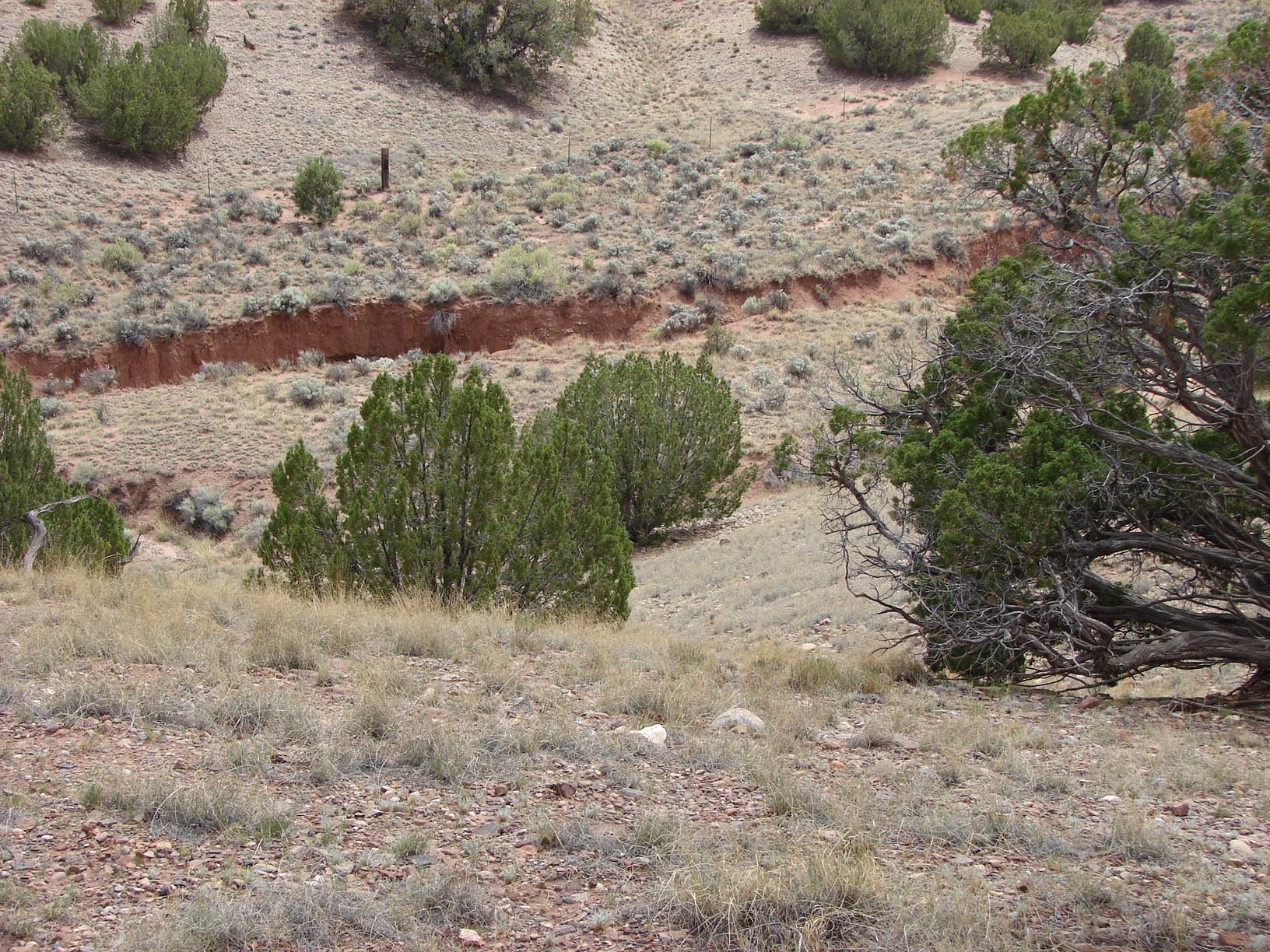 Rmw Rmw Concho, AZ 85924 - Photo 11 of 11