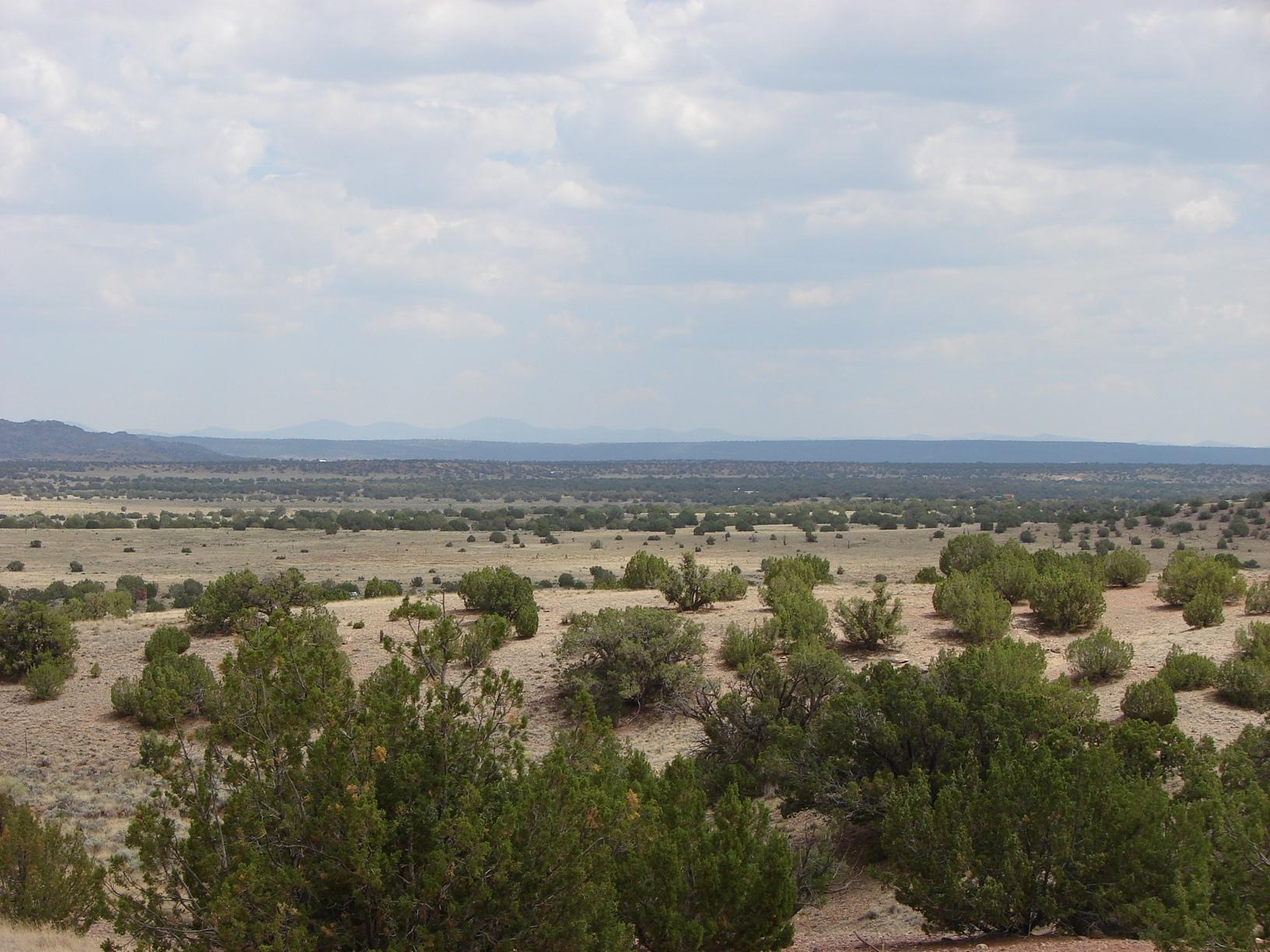 Rmw Rmw Concho, AZ 85924 - Photo 2 of 11
