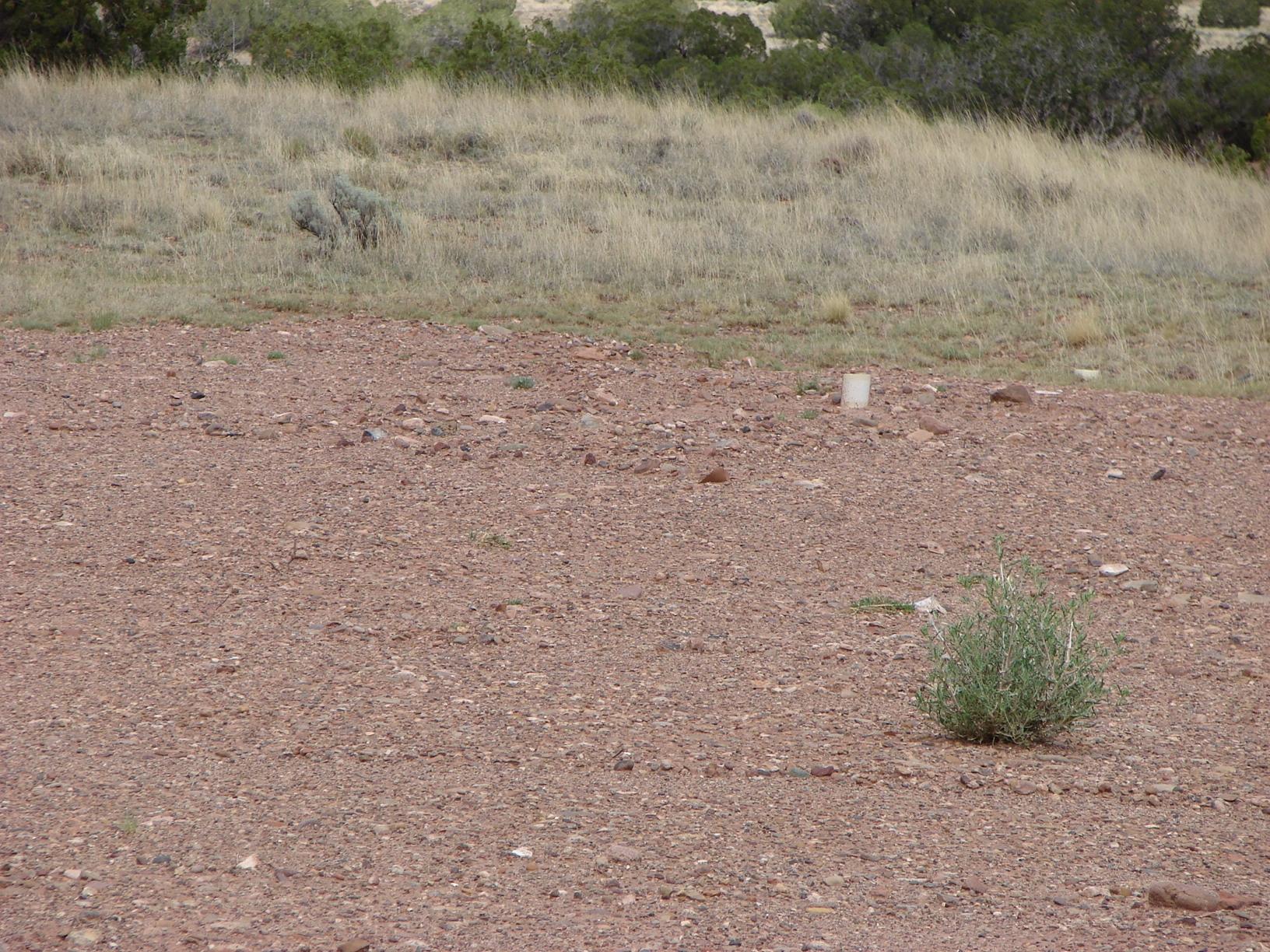 Rmw Rmw Concho, AZ 85924 - Photo 3 of 11