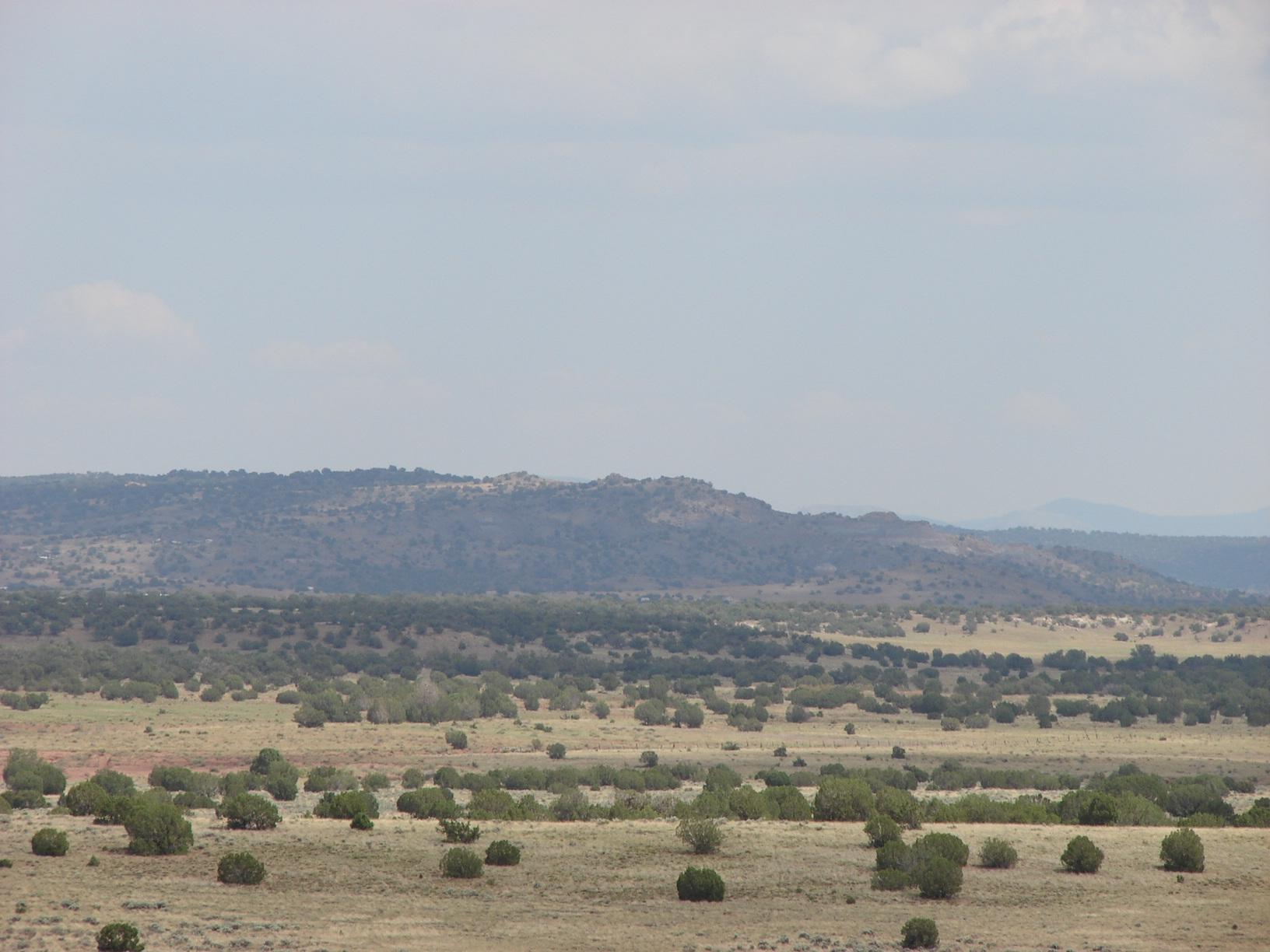 Rmw Rmw Concho, AZ 85924 - Photo 4 of 11