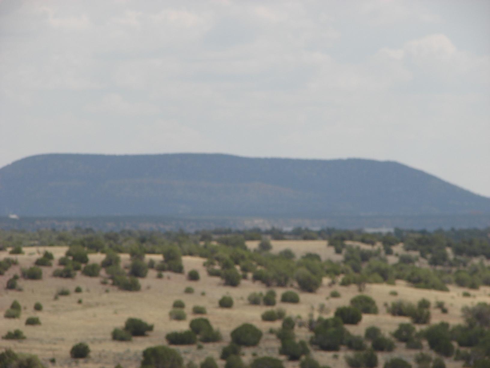 Rmw Rmw Concho, AZ 85924 - Photo 6 of 11