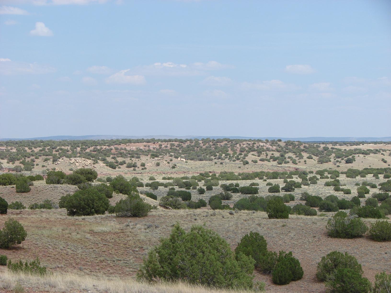 Rmw Rmw Concho, AZ 85924 - Photo 8 of 11