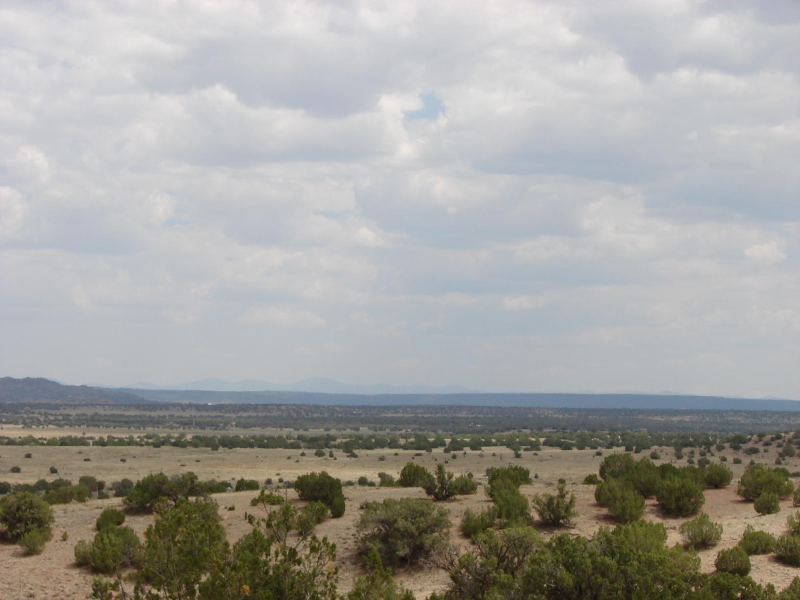 Rmw Rmw Concho, AZ 85924 - Photo 10 of 11